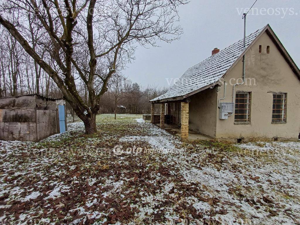Kép 11