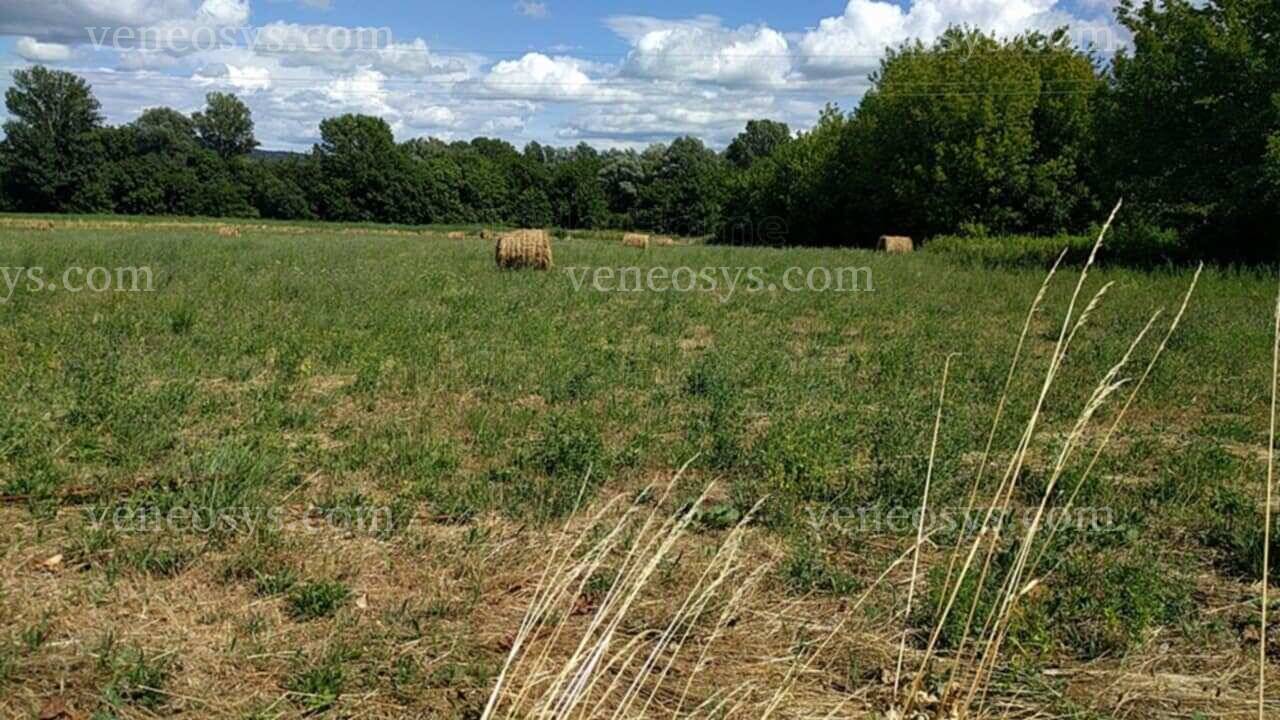 Kép 2