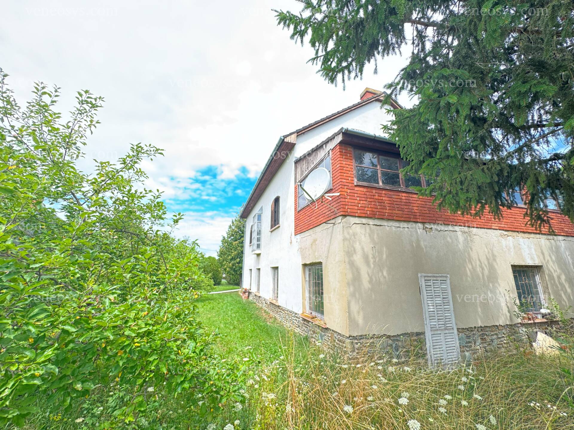 Kép 12