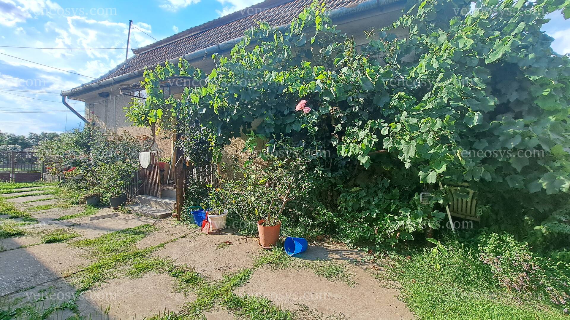 Kép 4