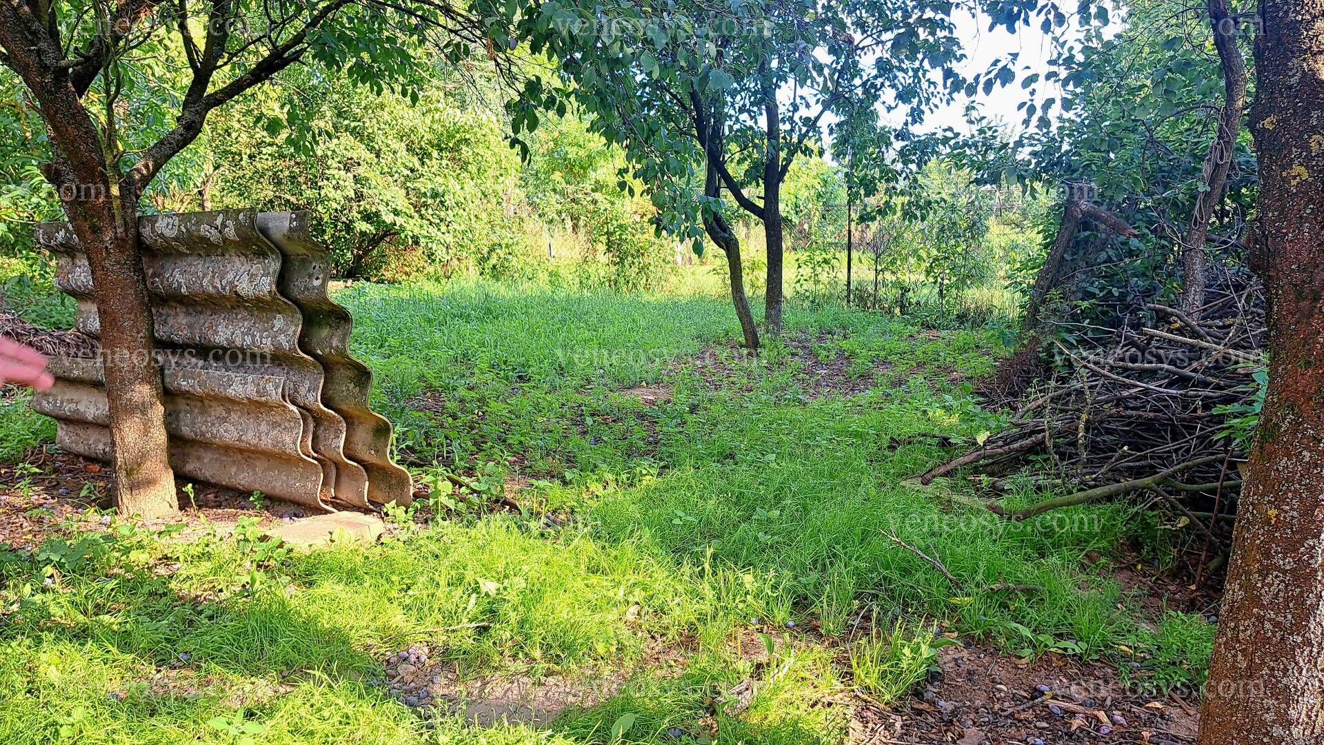 Kép 13
