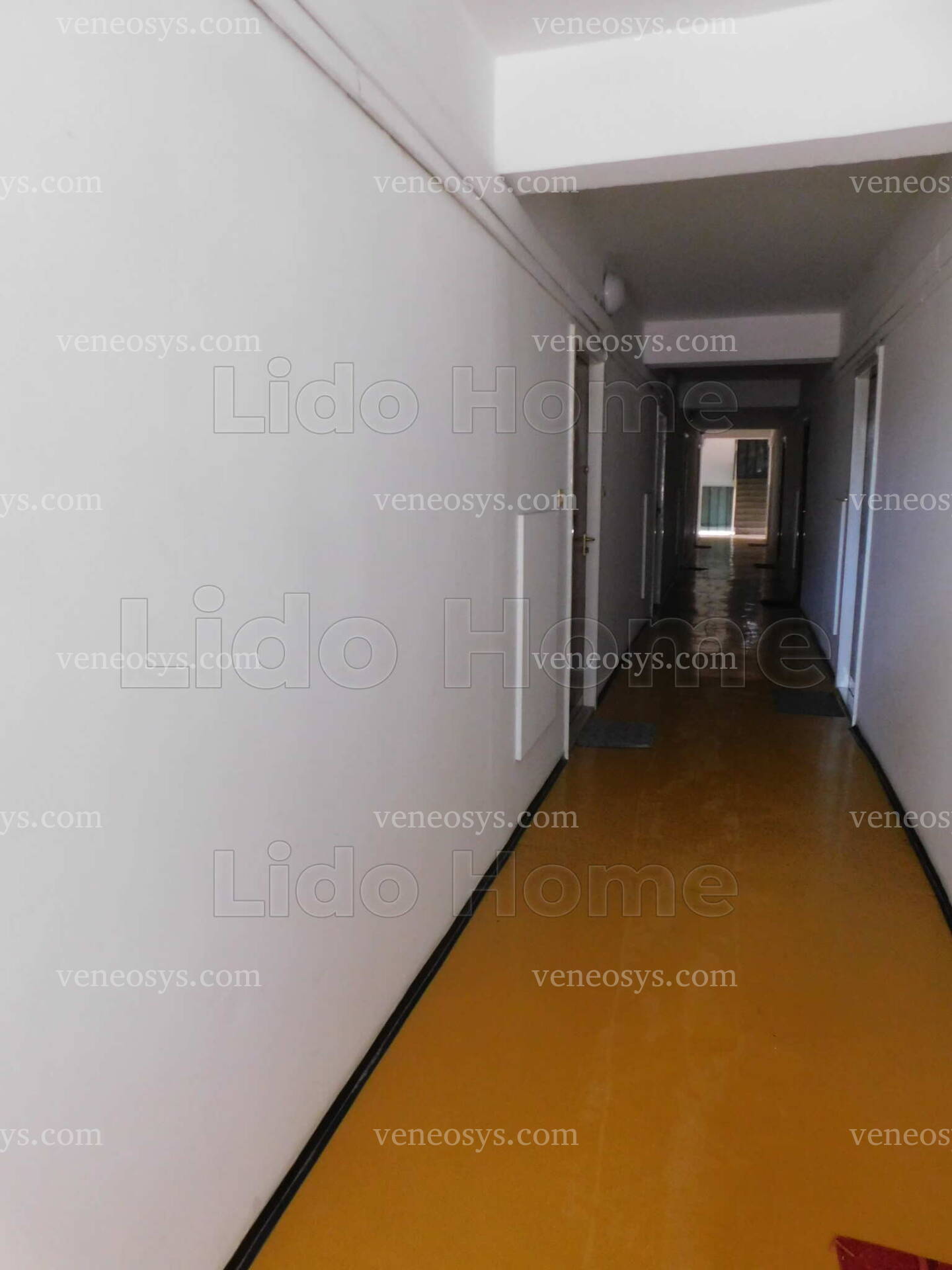 Kép 15