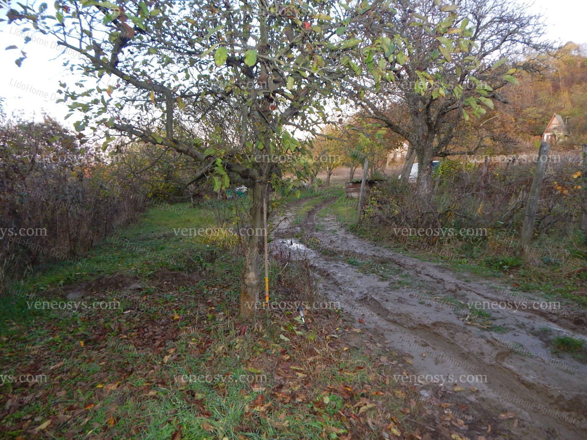 Kép 12