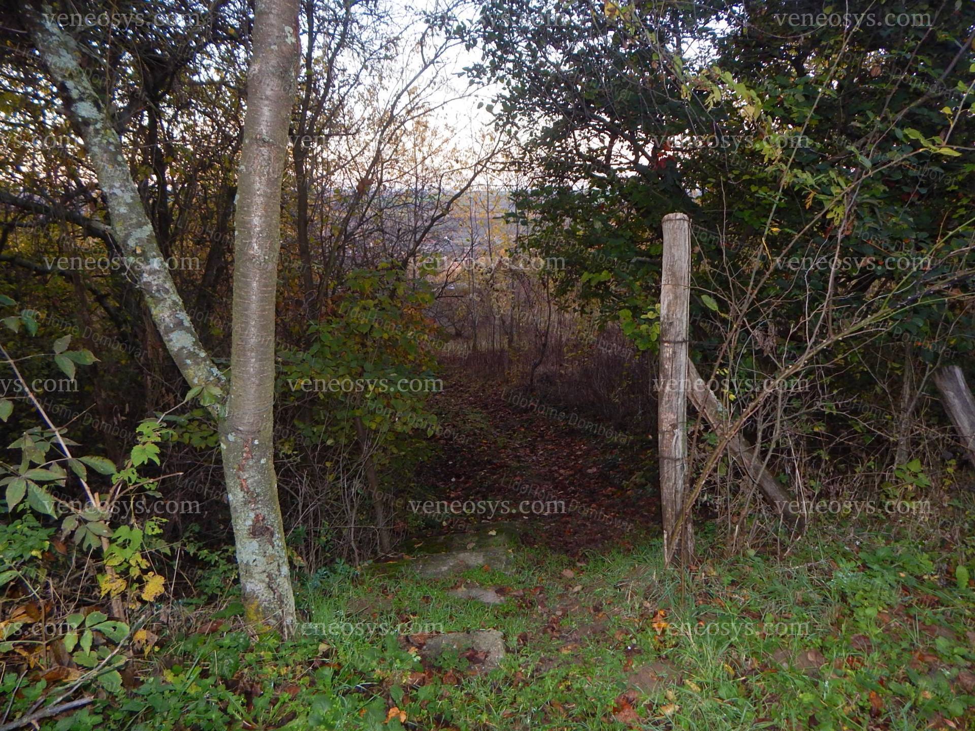 Kép 10