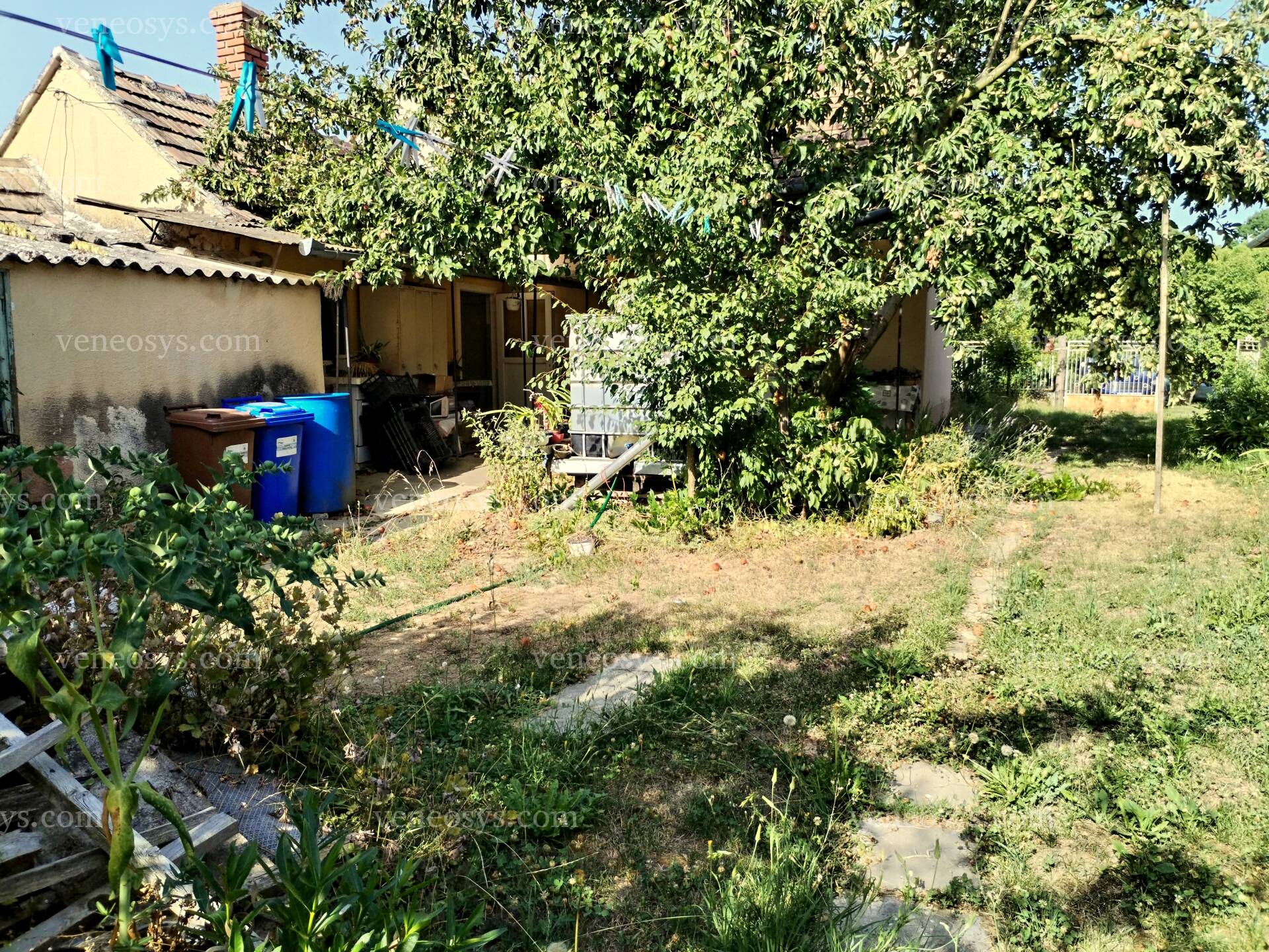 Kép 13