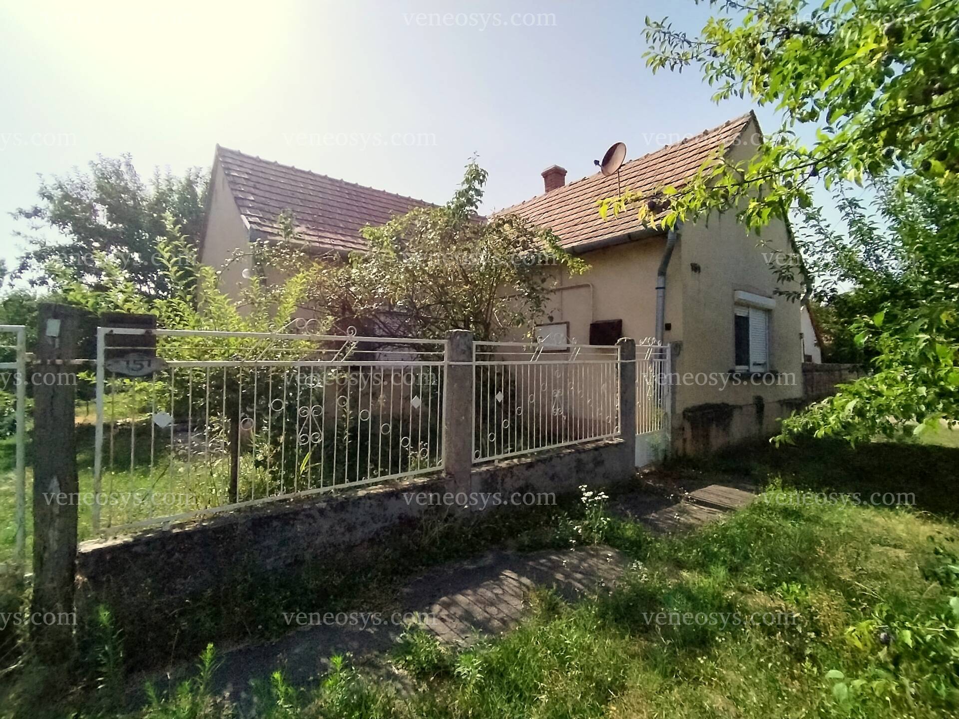 Kép 11