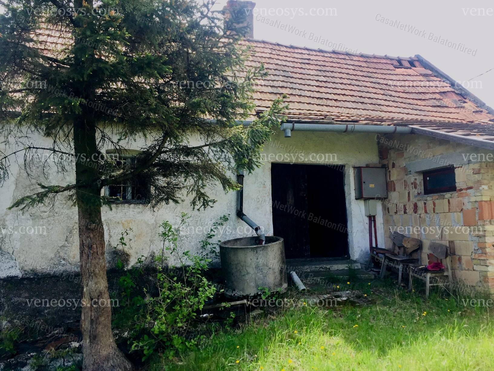 Kép 7