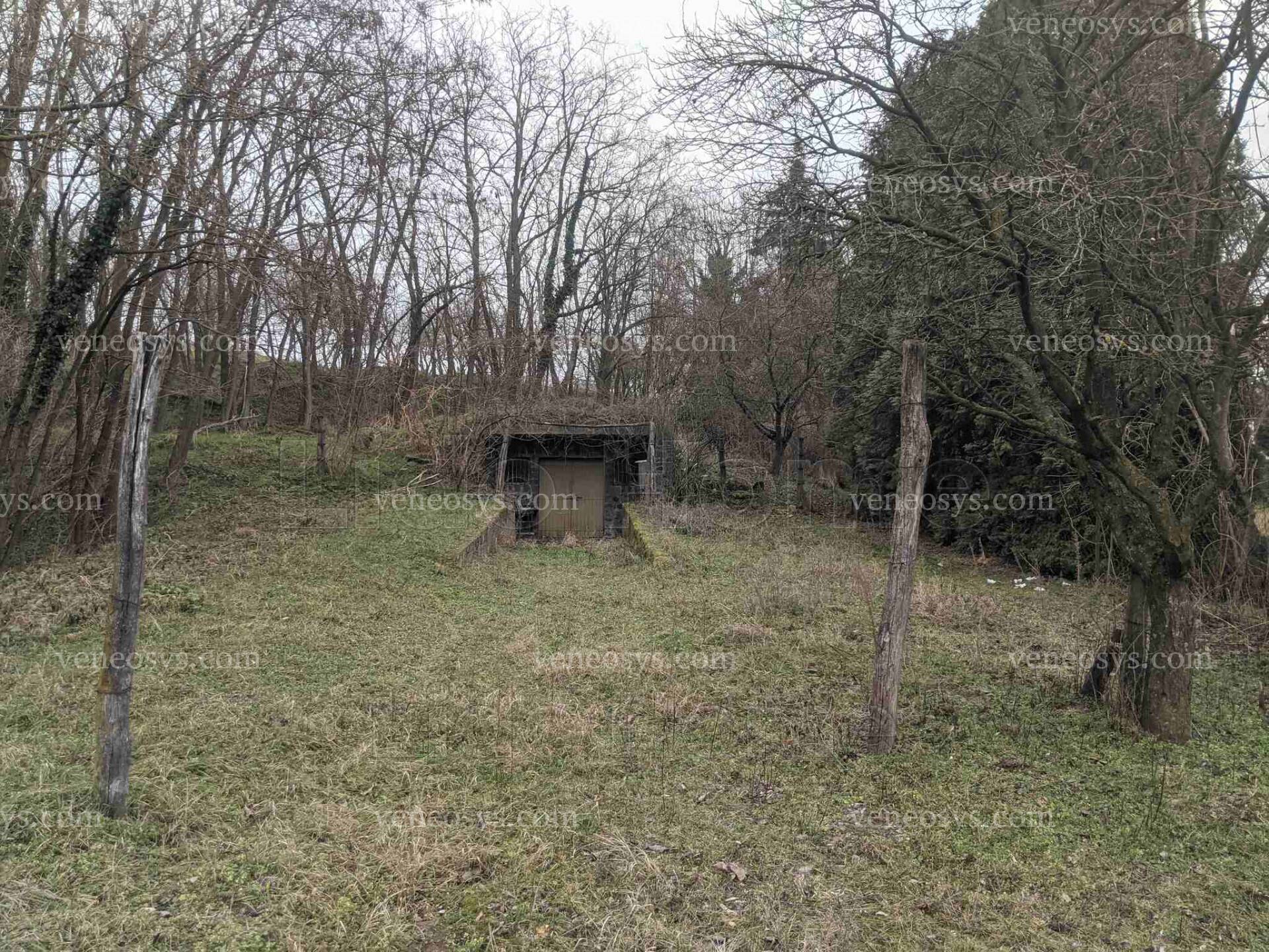 Kép 6