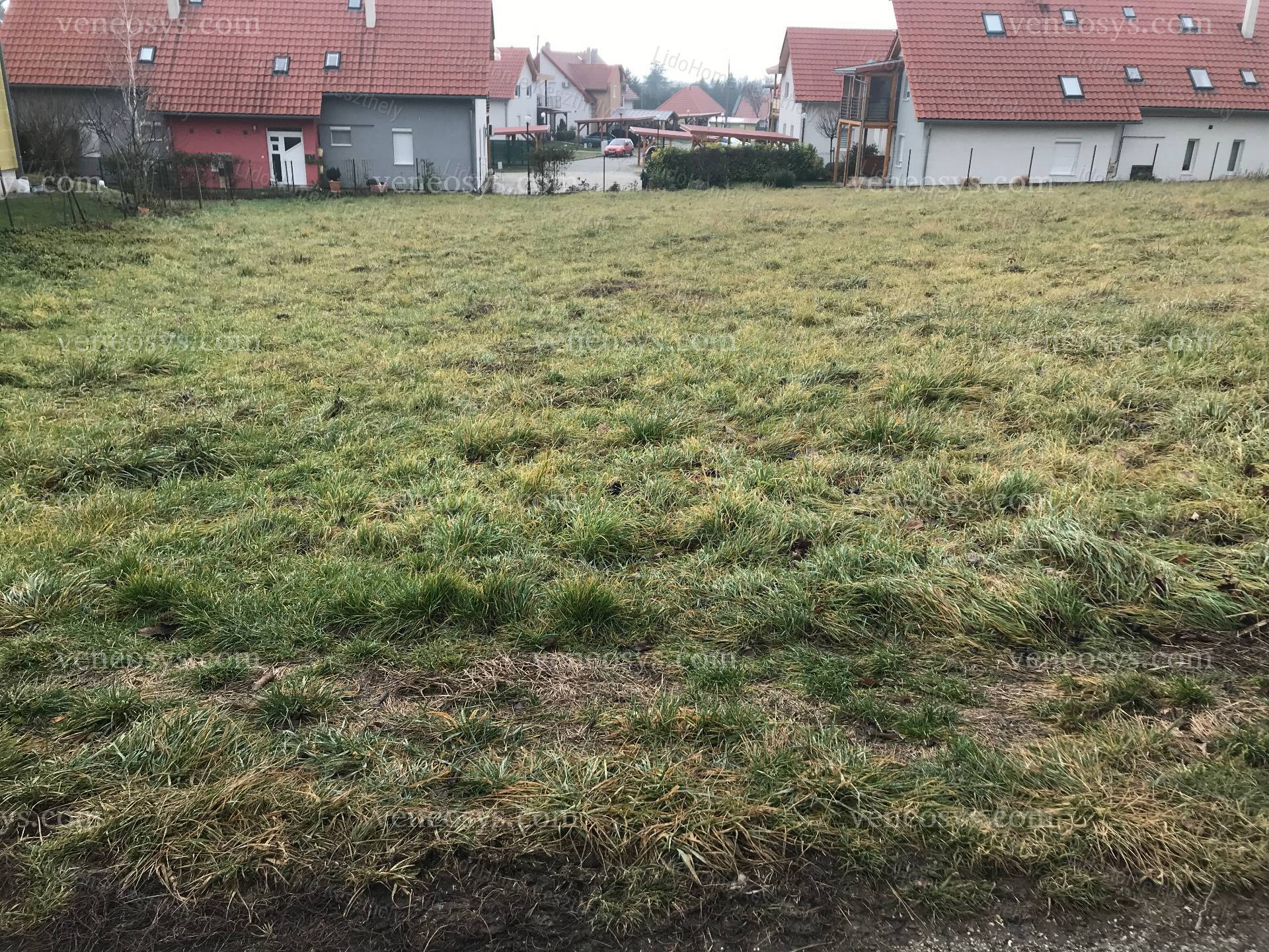 Kép 11