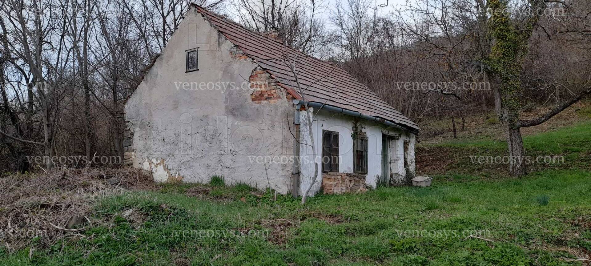 Kép 2