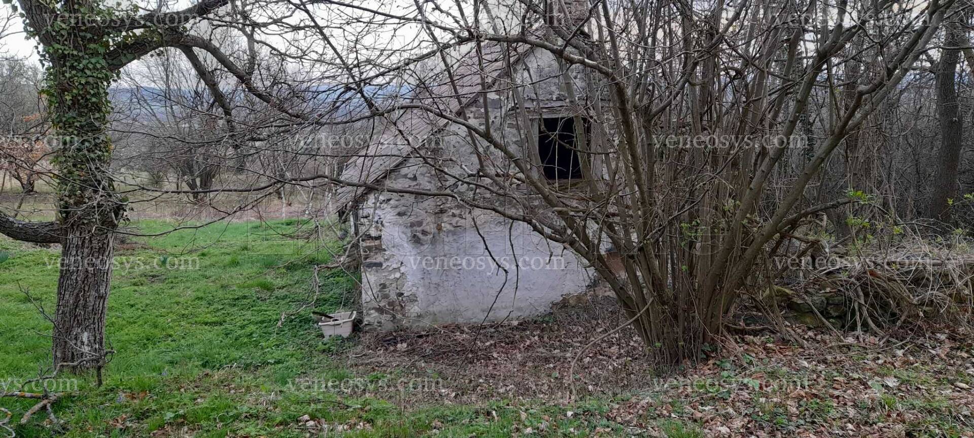 Kép 4