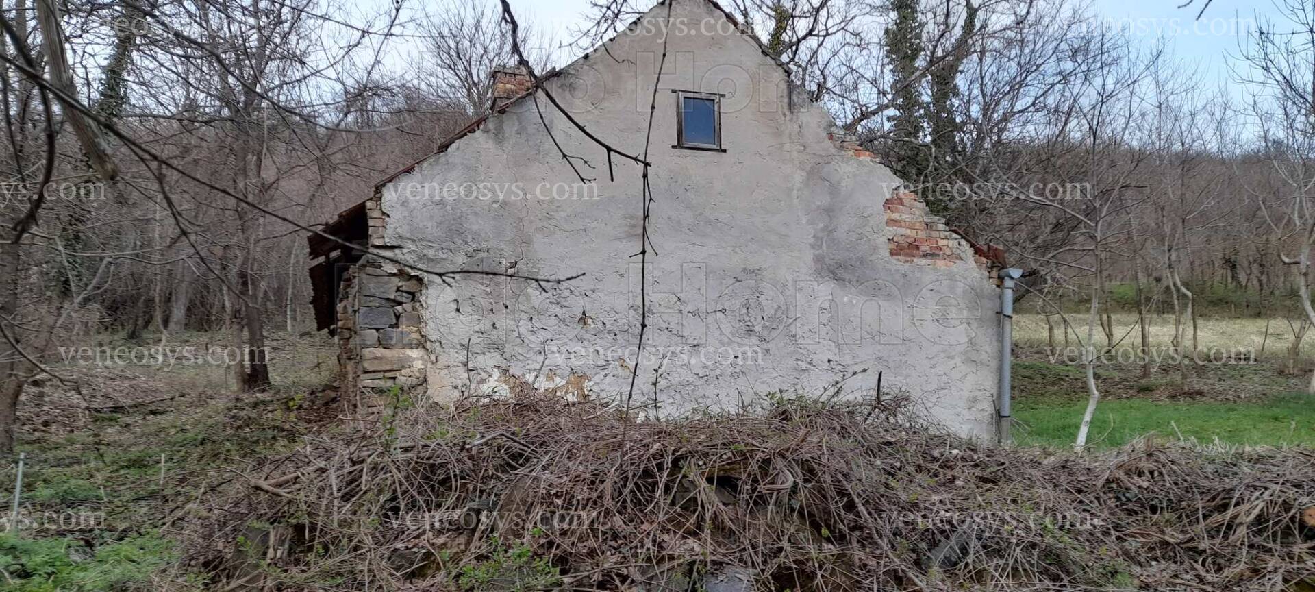 Kép 6