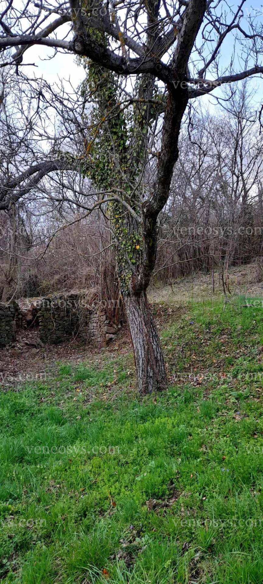 Kép 15