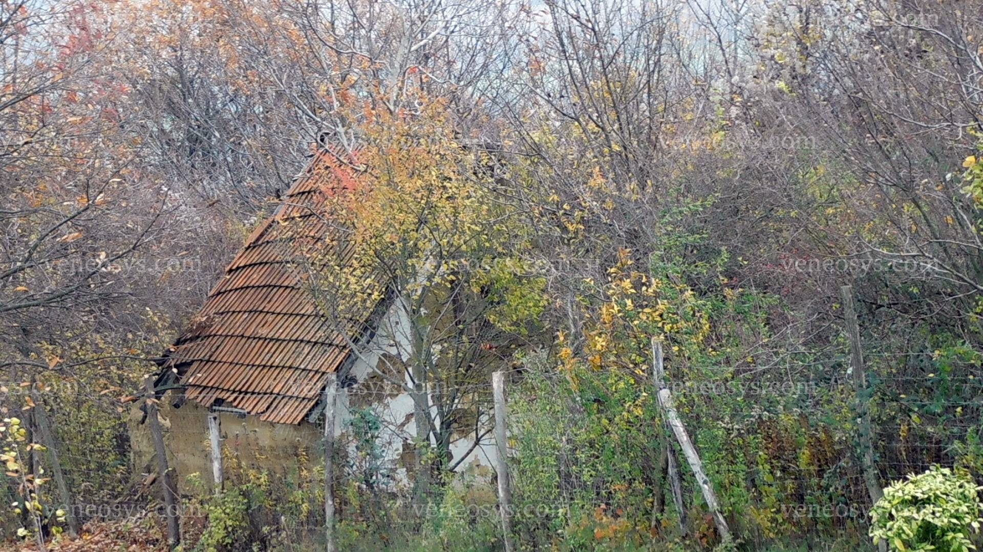 Kép 3