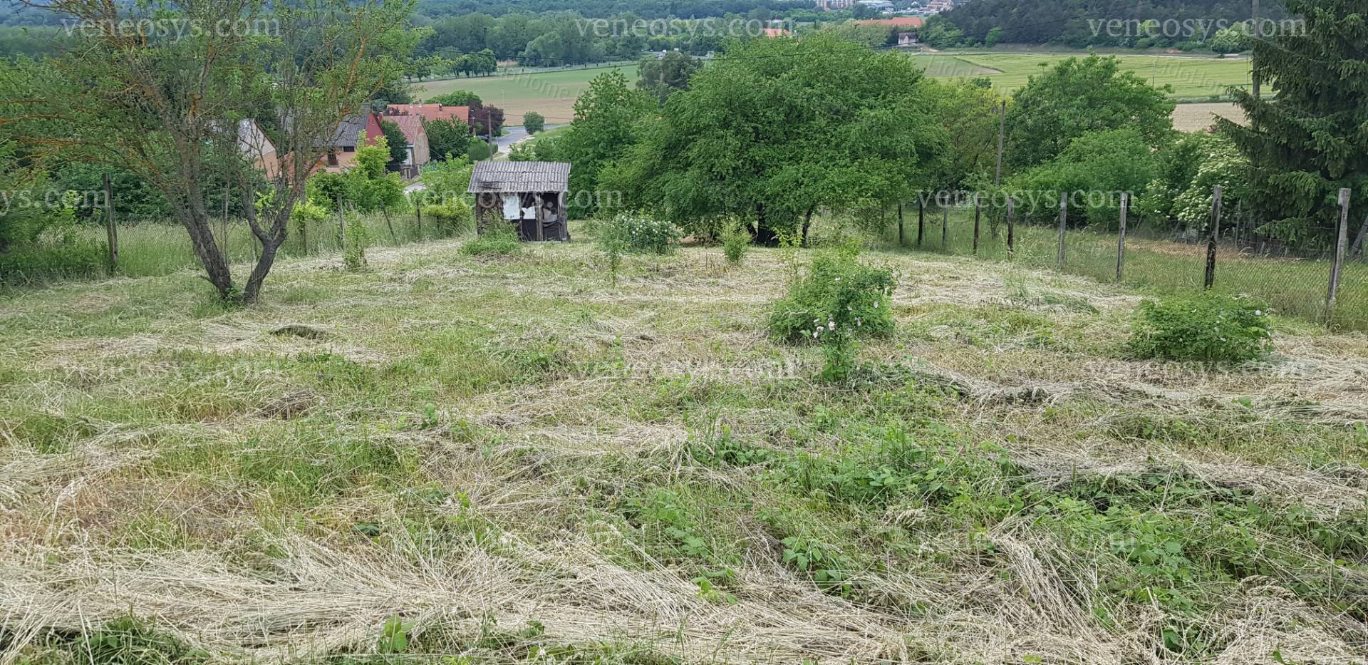 Kép 5