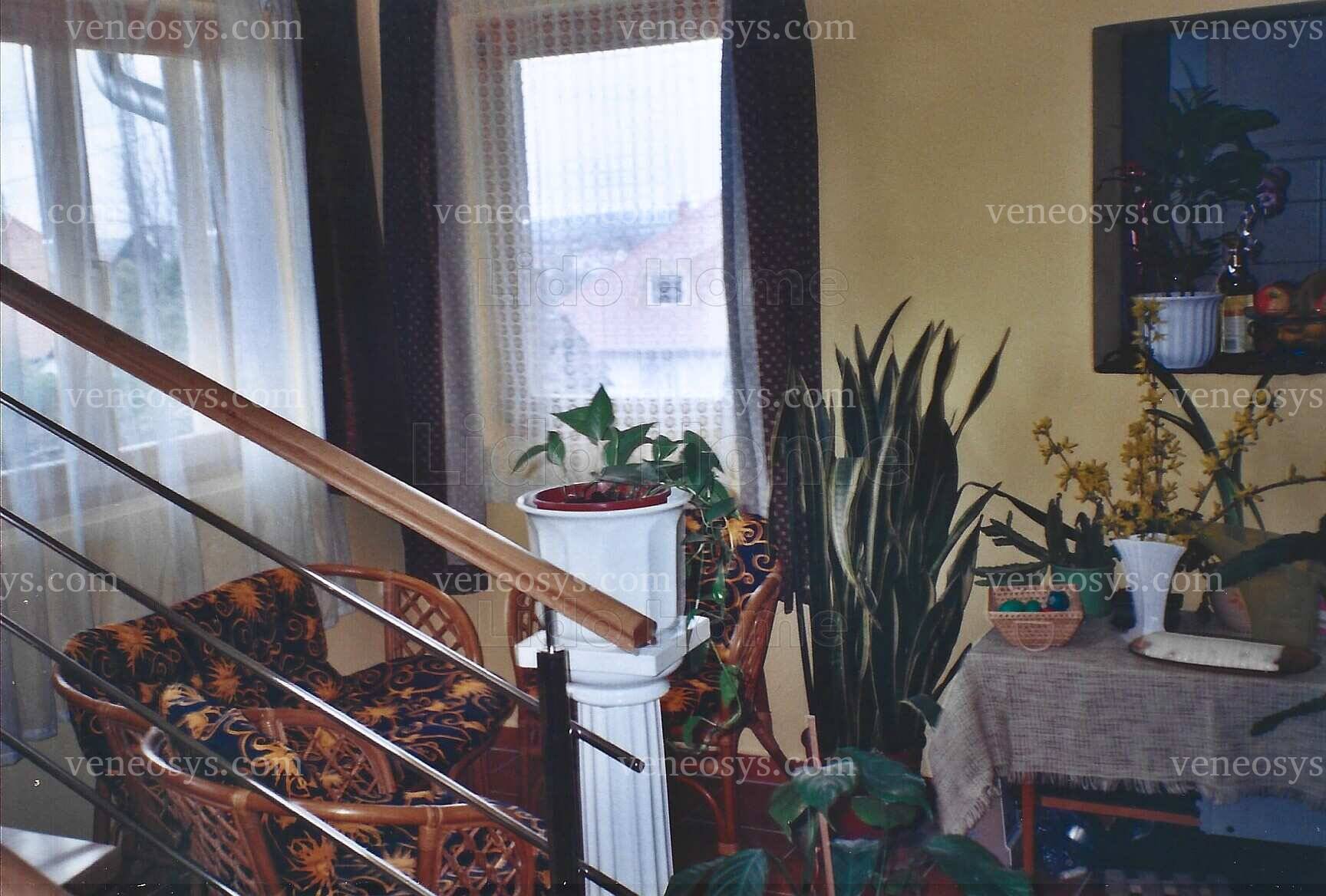 Kép 7