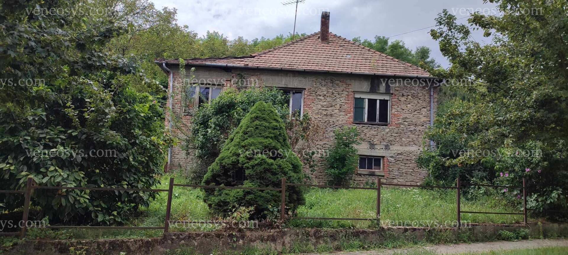 Kép 4