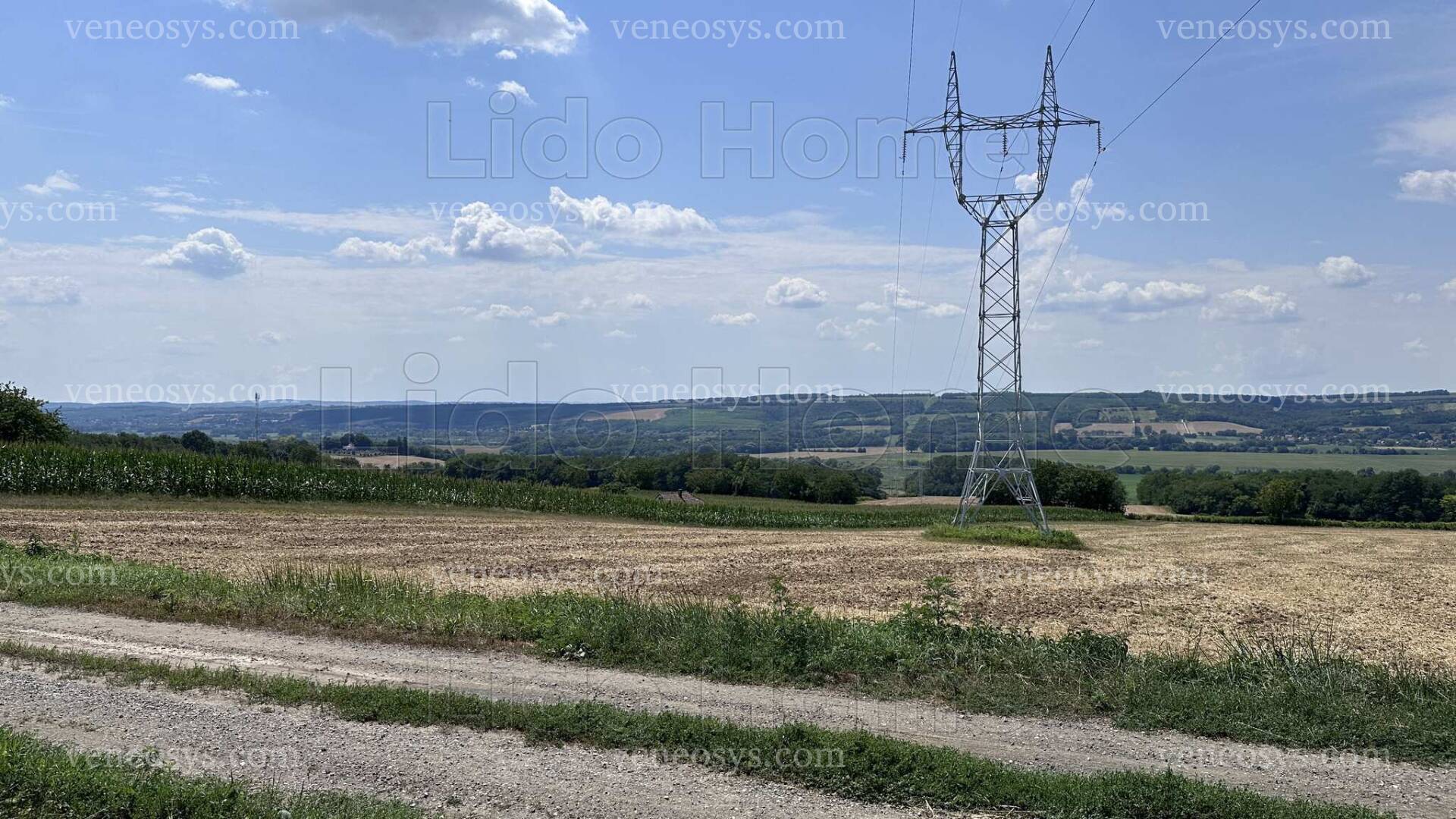 Kép 4