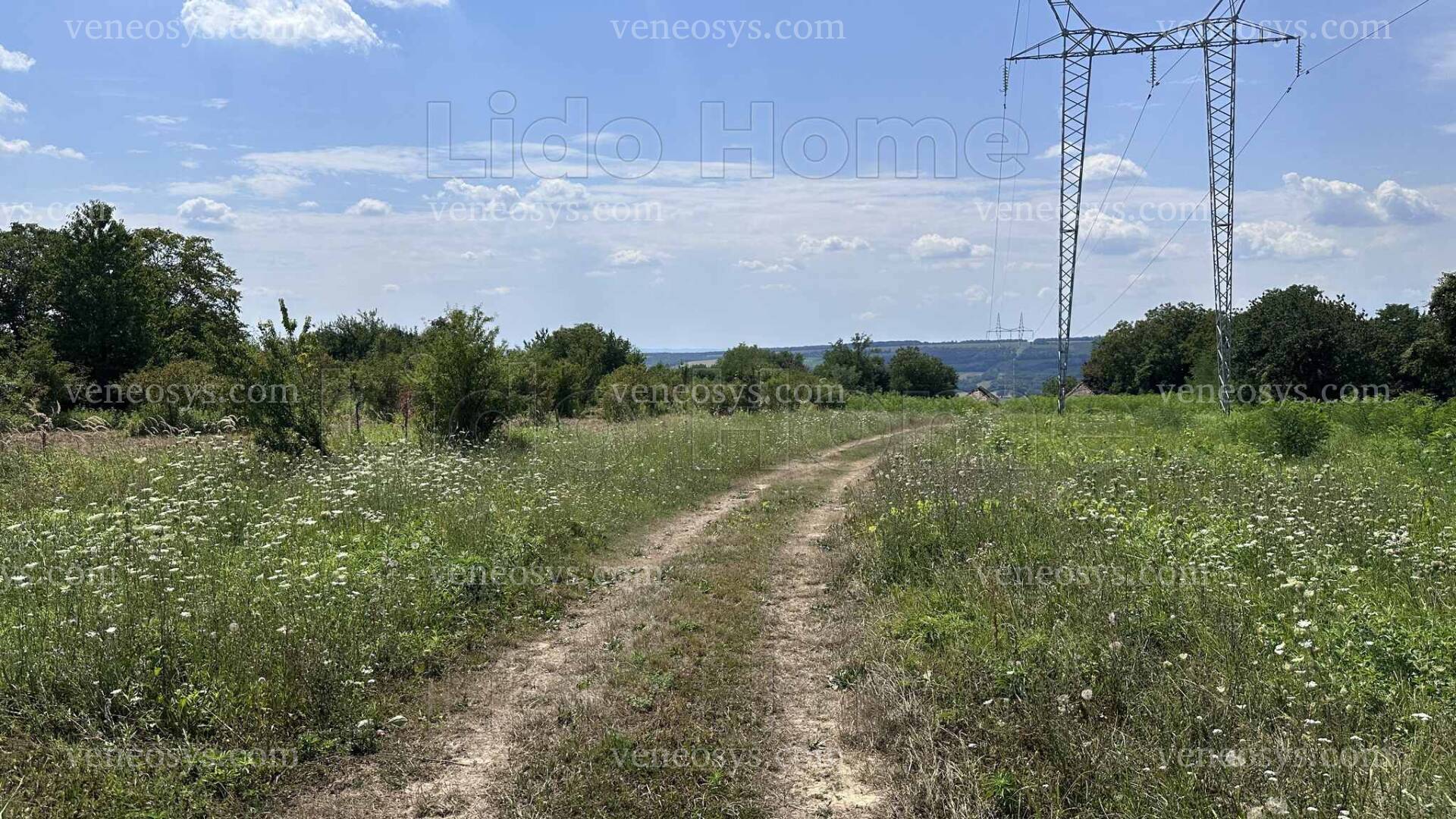 Kép 7