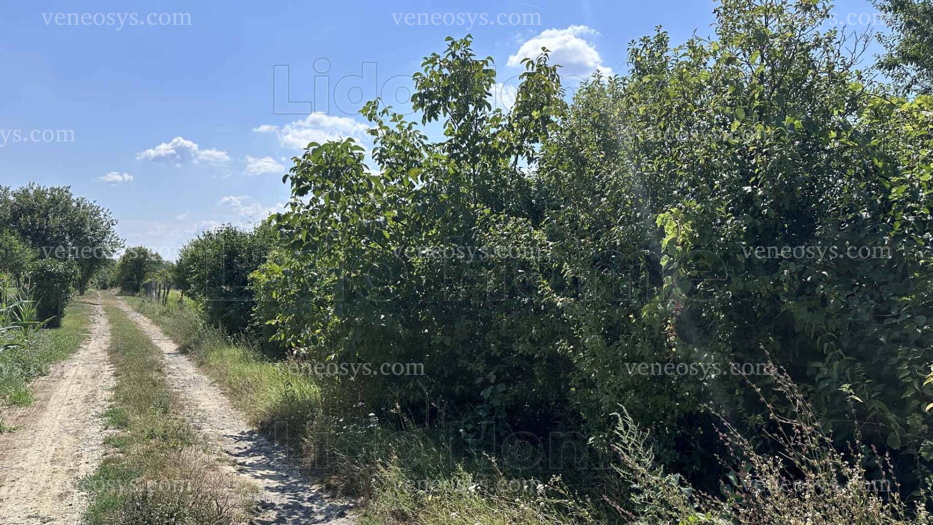 Kép 20