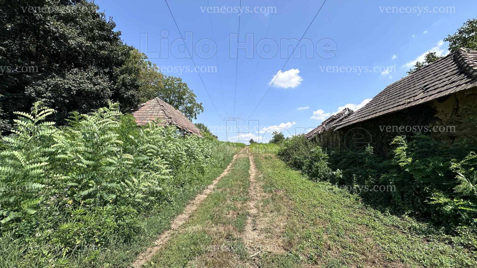 Kép 10