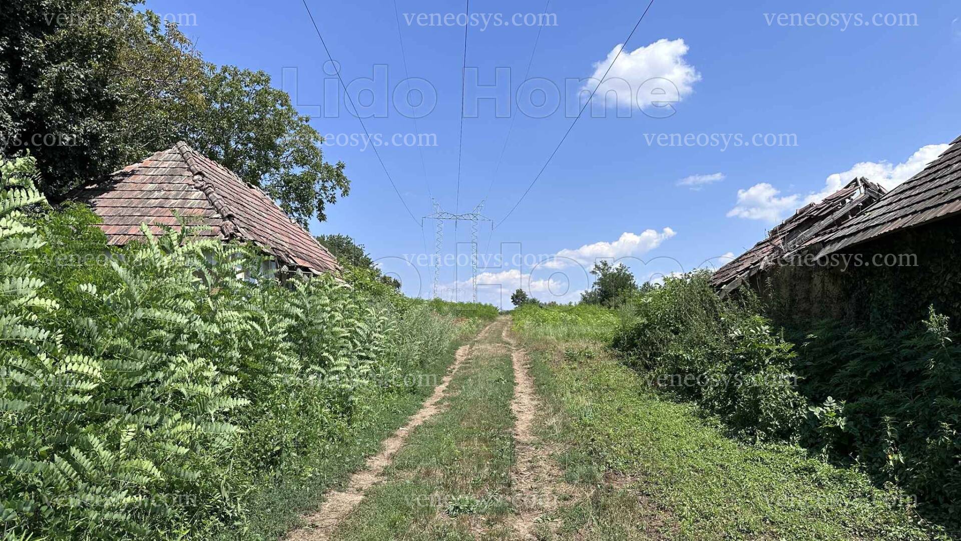 Kép 19