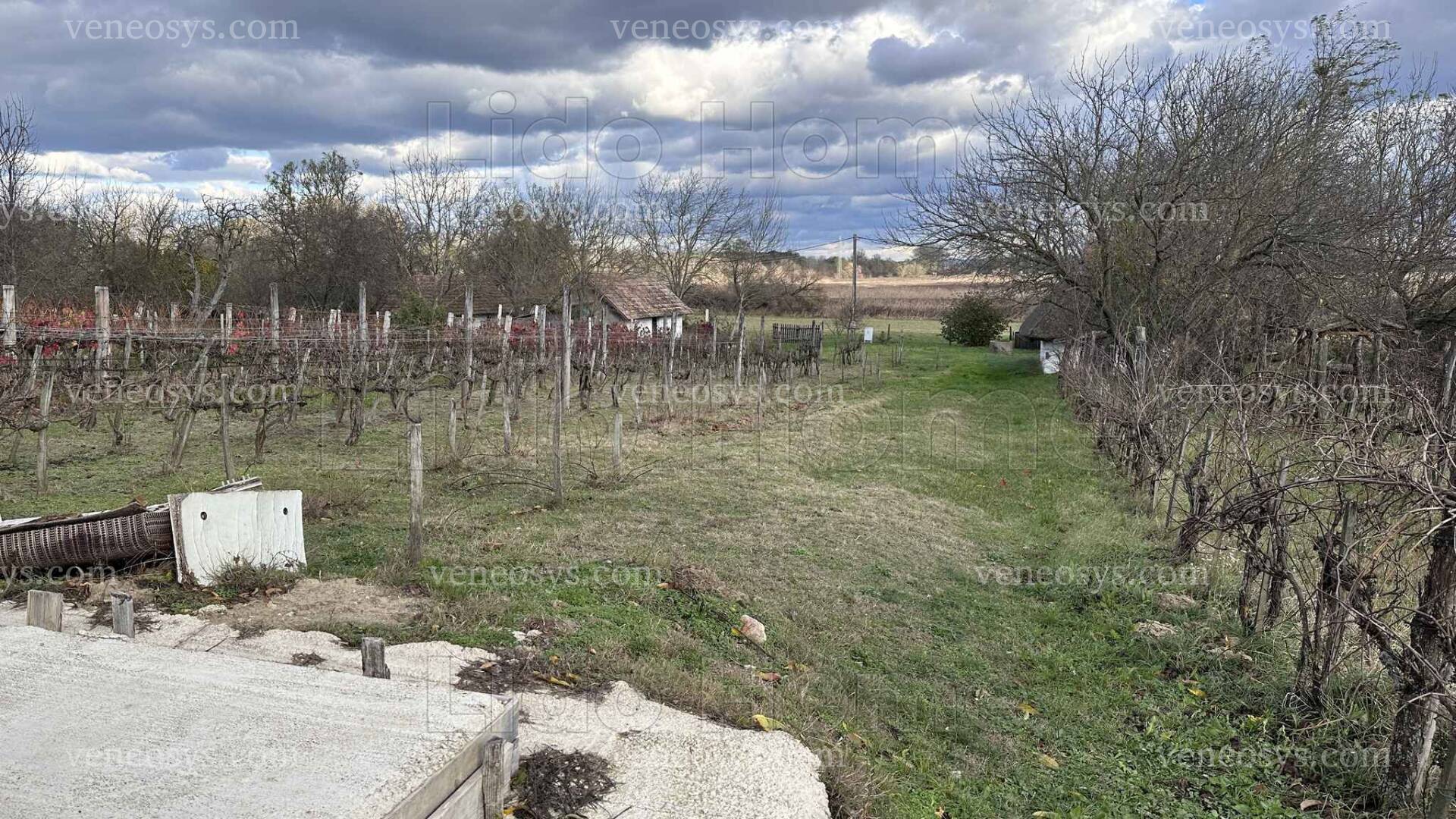 Kép 23