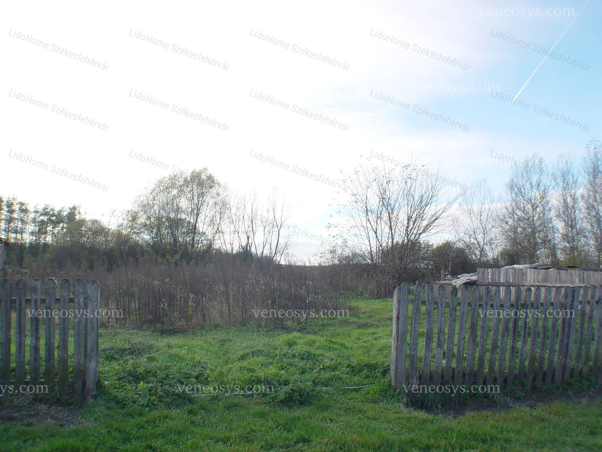 Kép 2