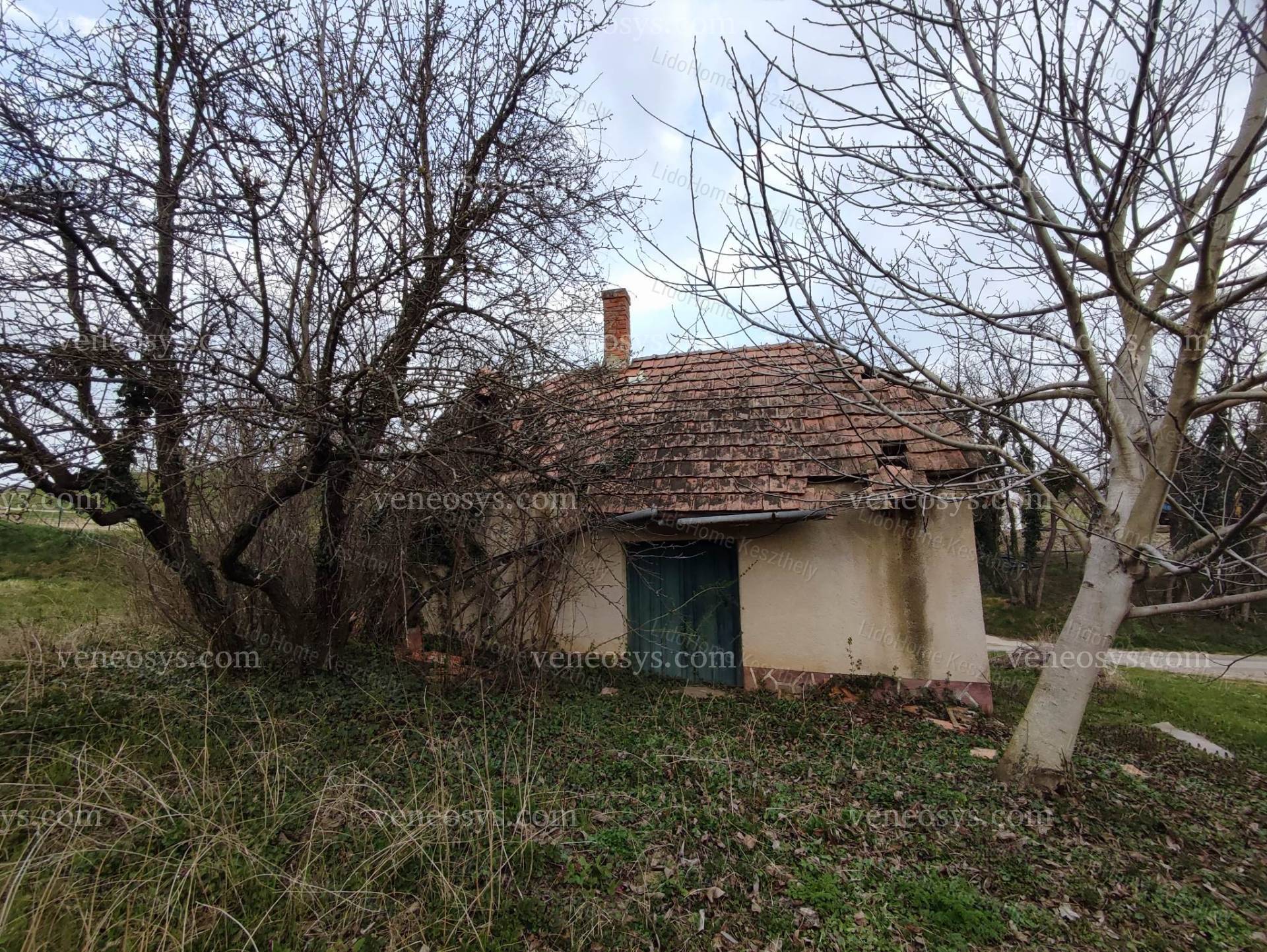 Kép 5