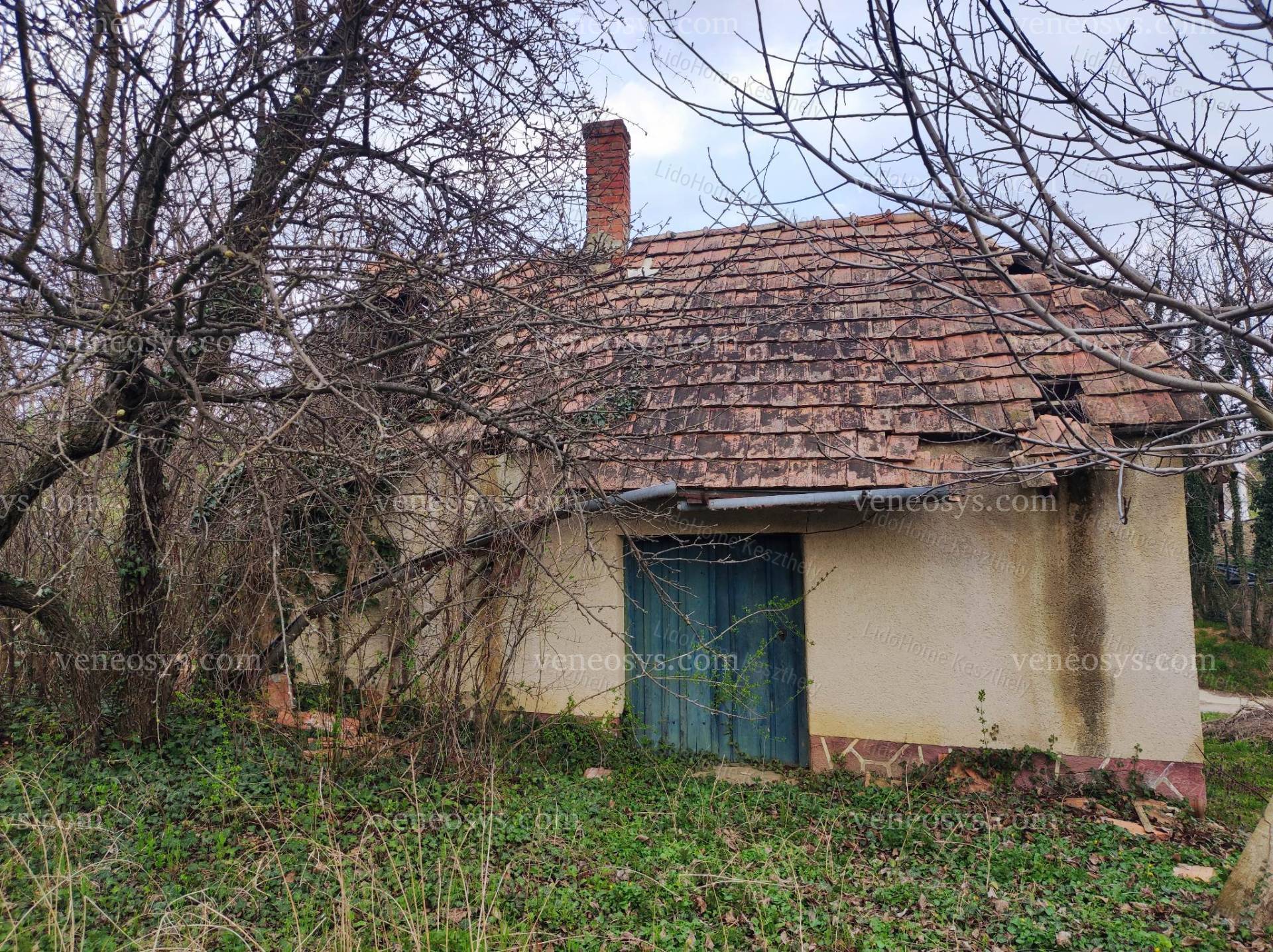 Kép 3