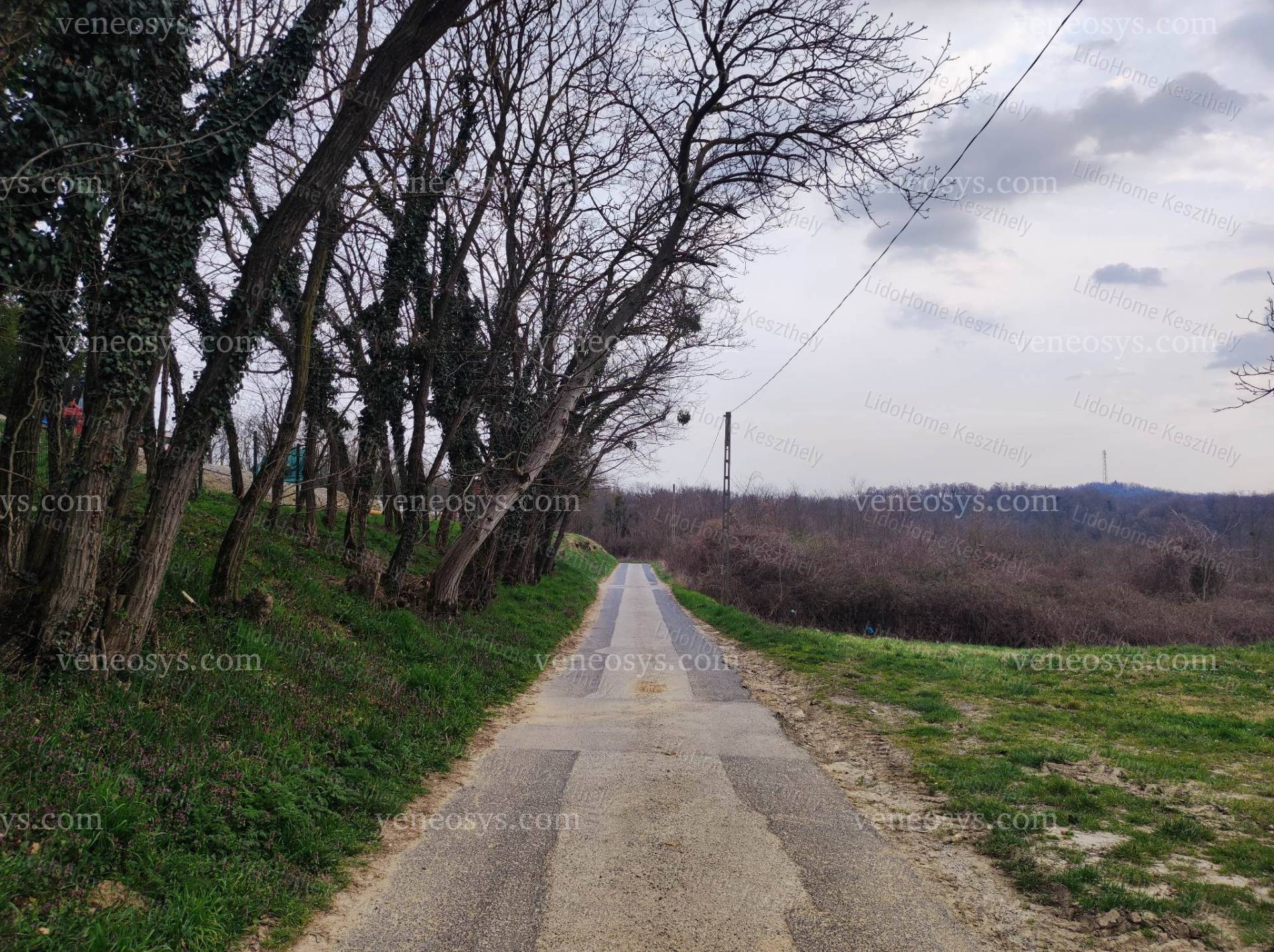 Kép 10