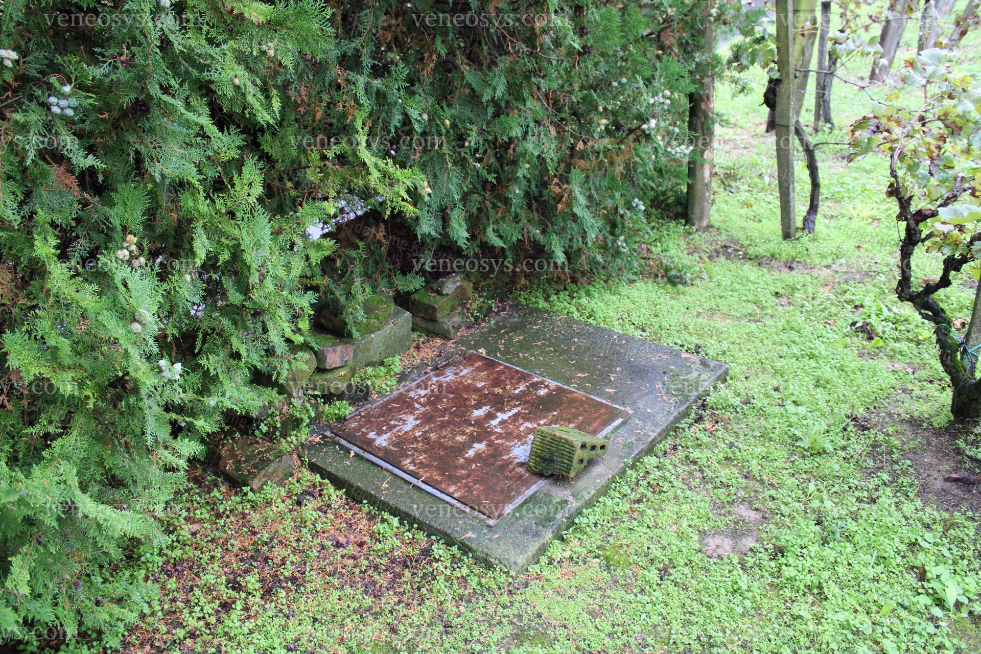 Kép 16