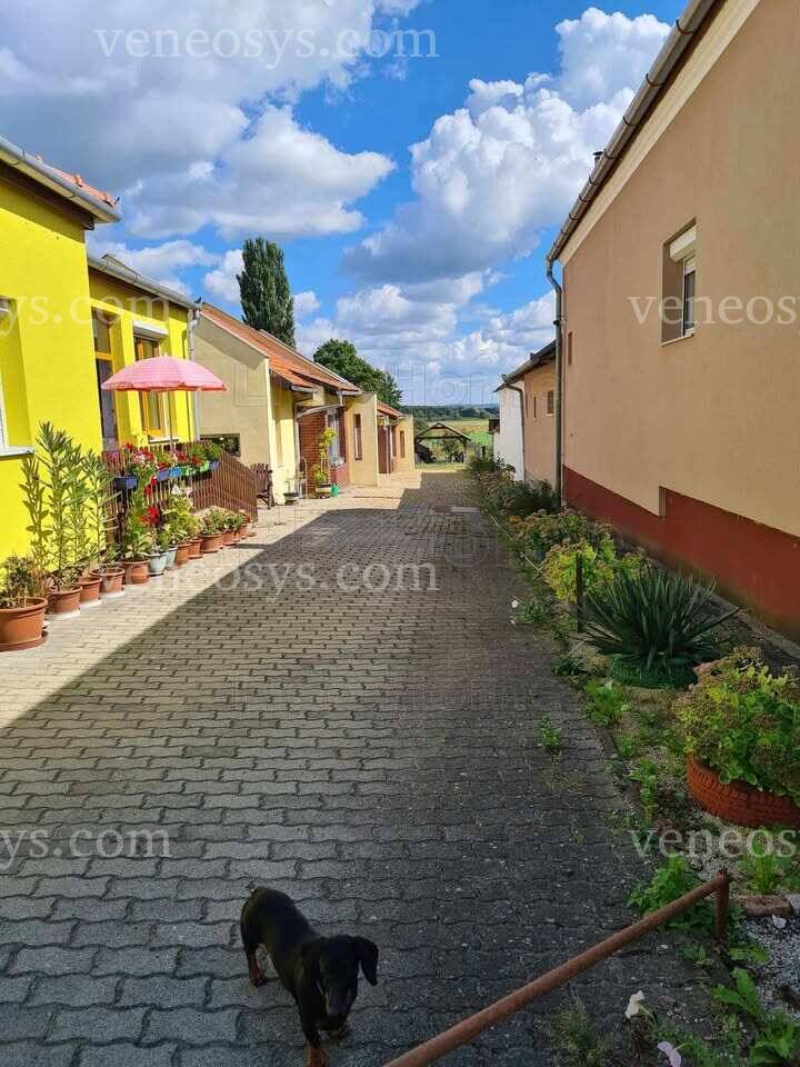 Kép 5