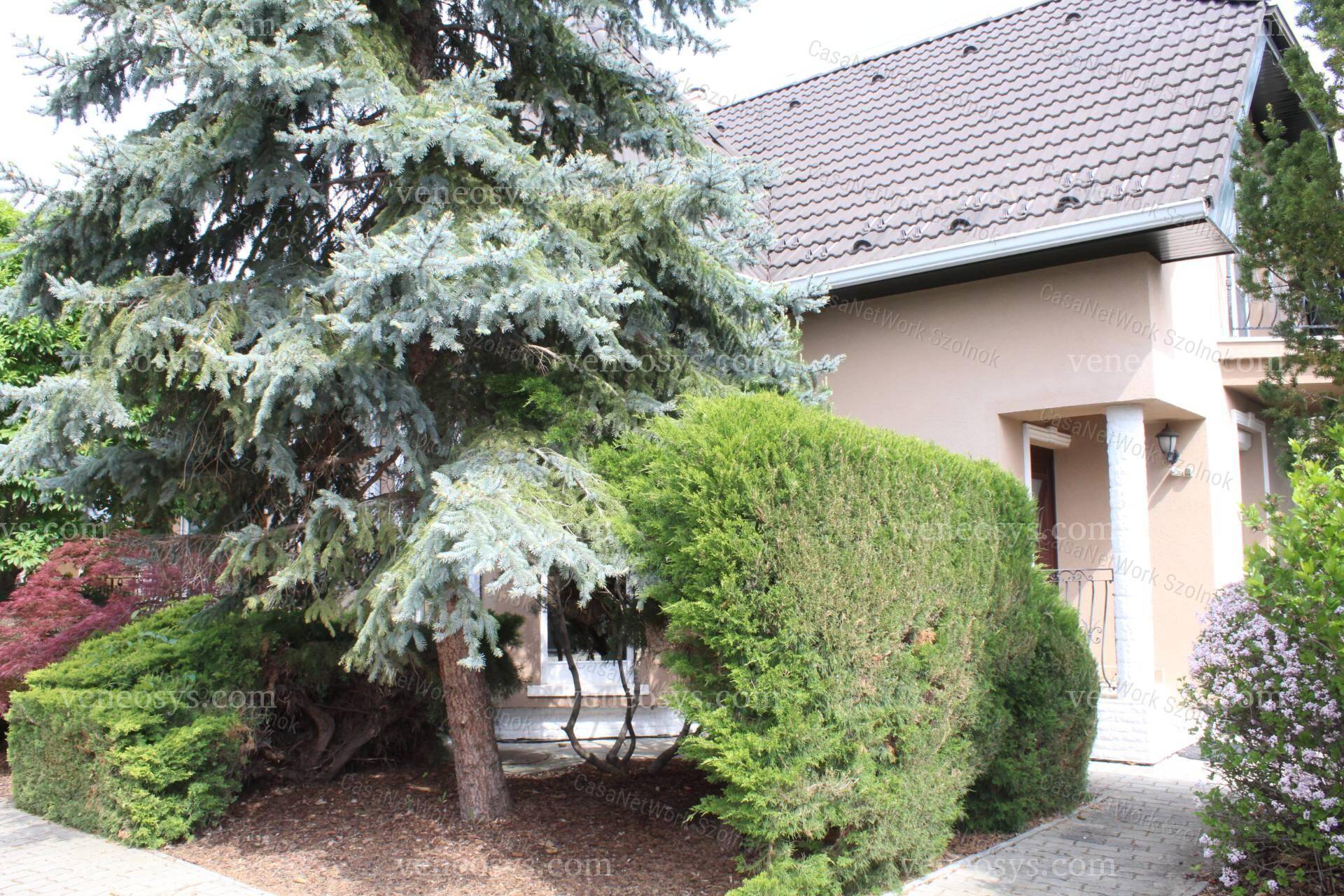 Kép 20