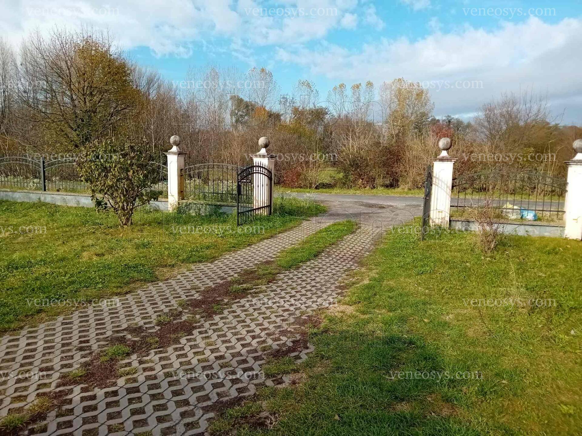 Kép 6