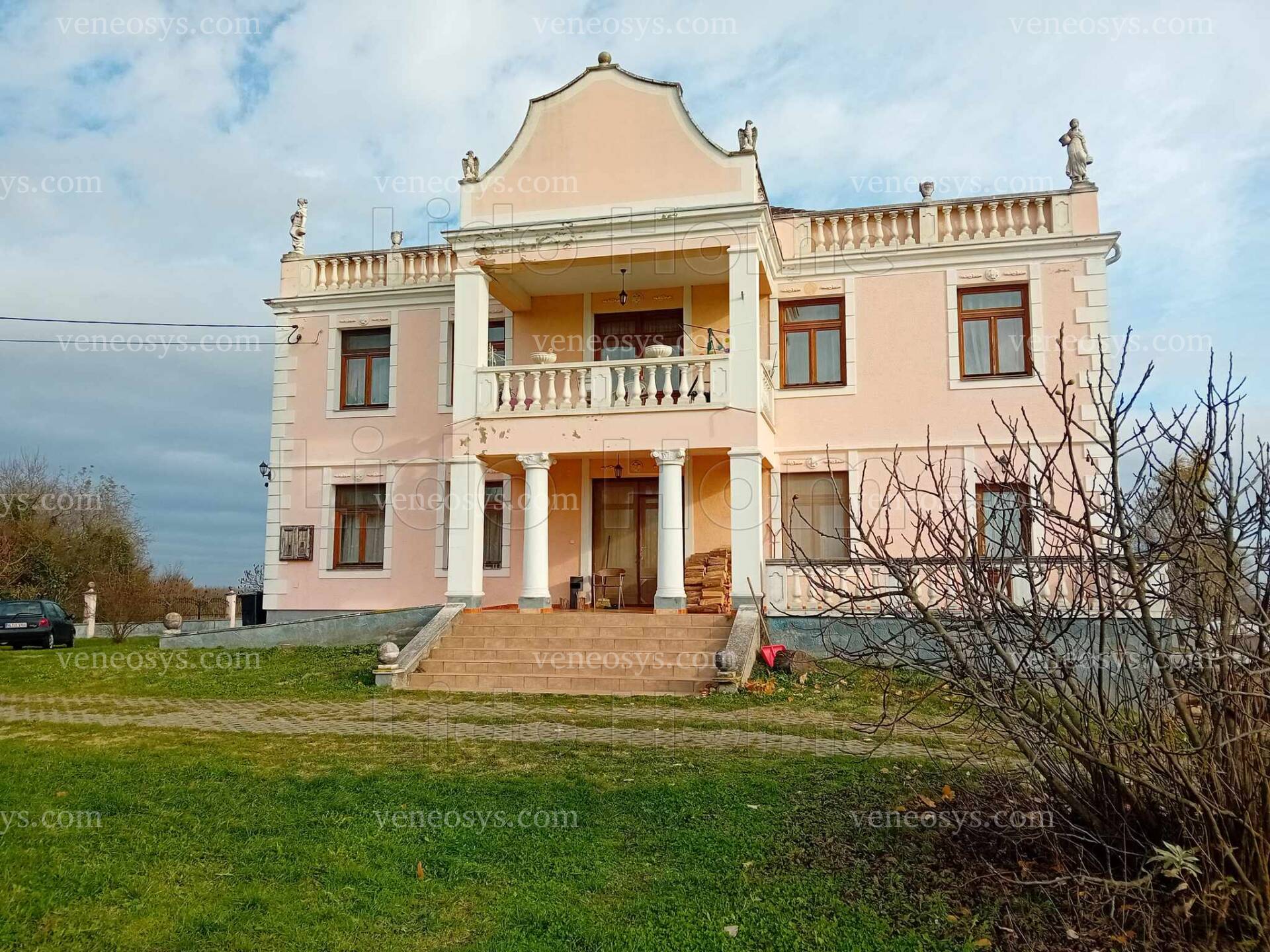 Kép 5