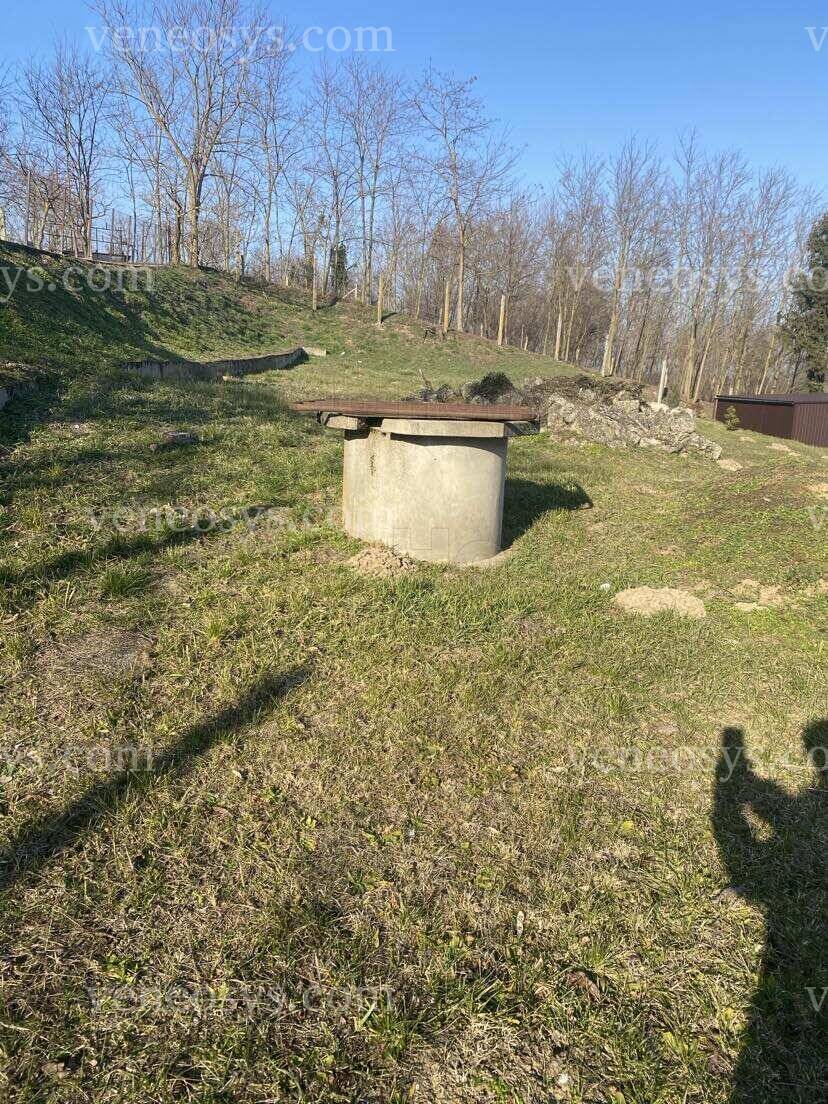 Kép 7