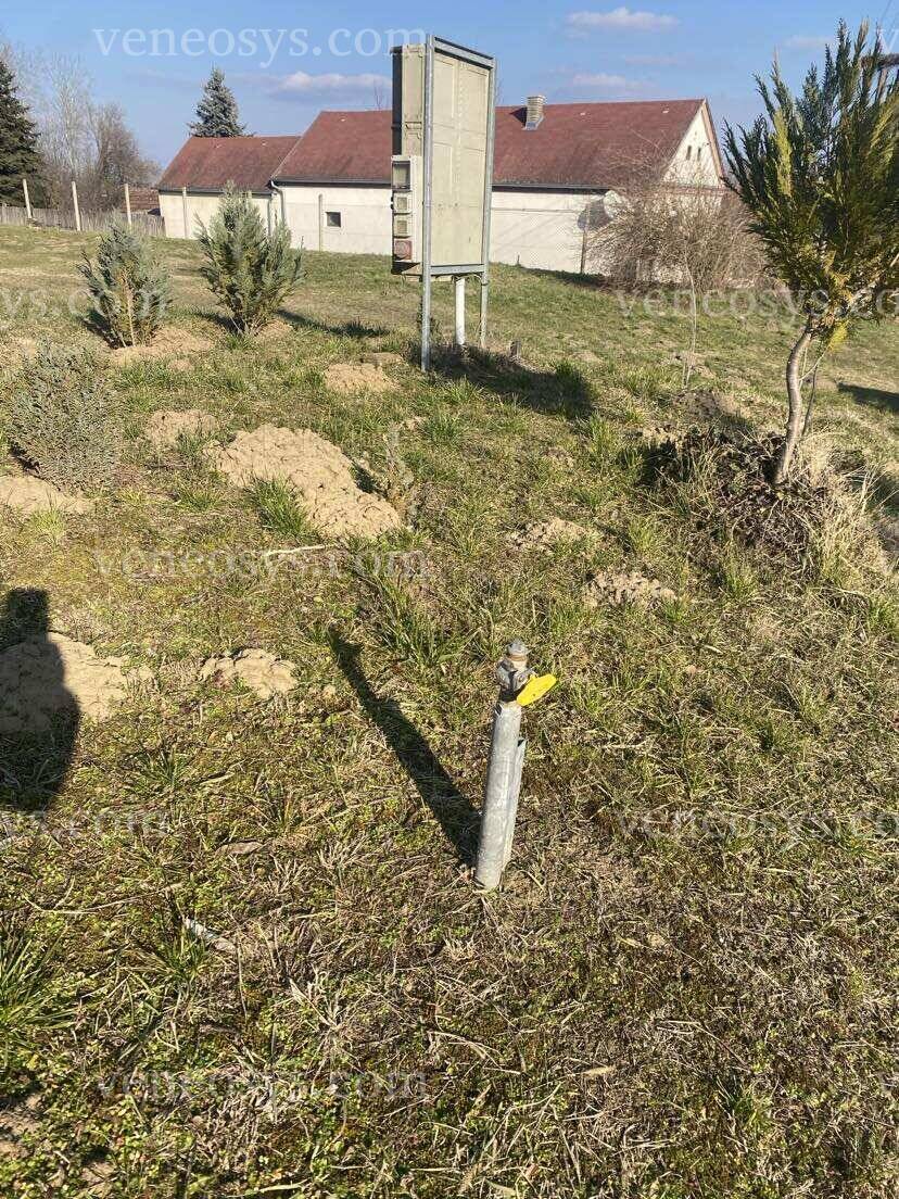 Kép 5