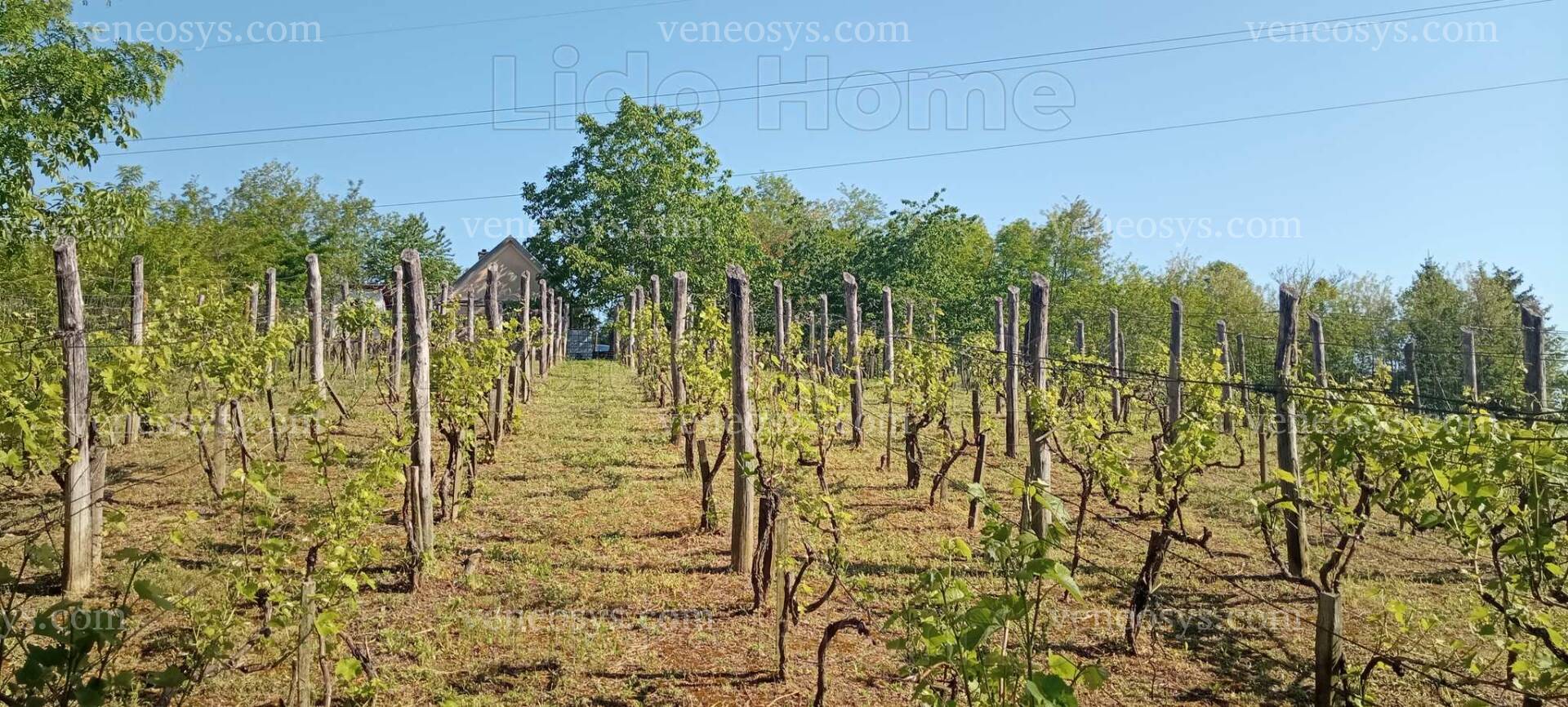 Kép 13