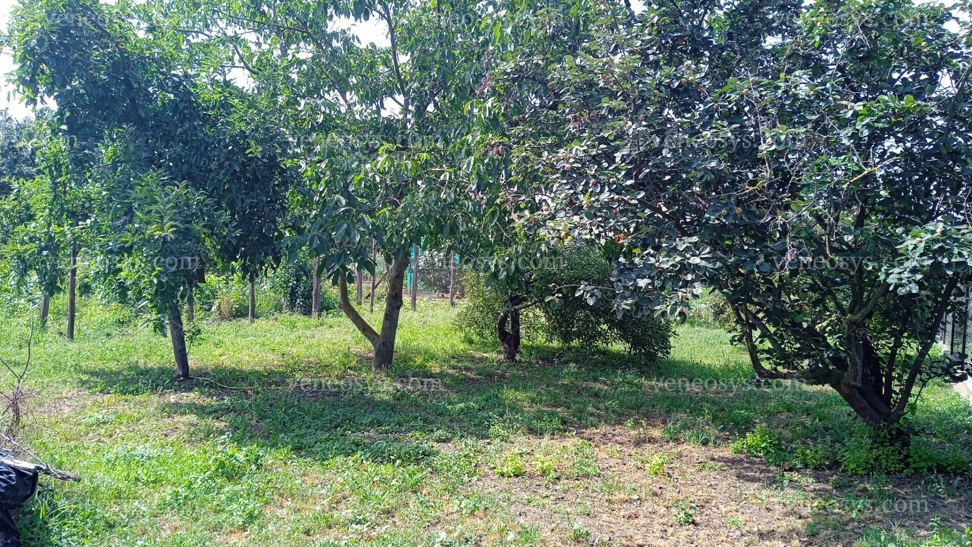 Kép 5