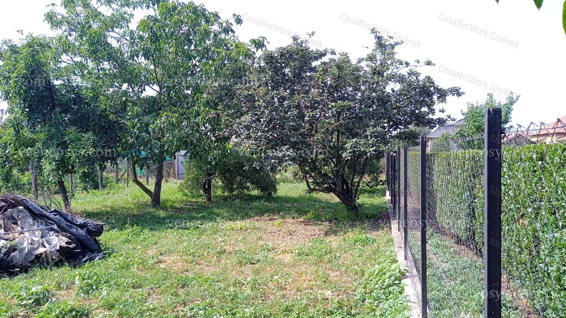 Kép 4
