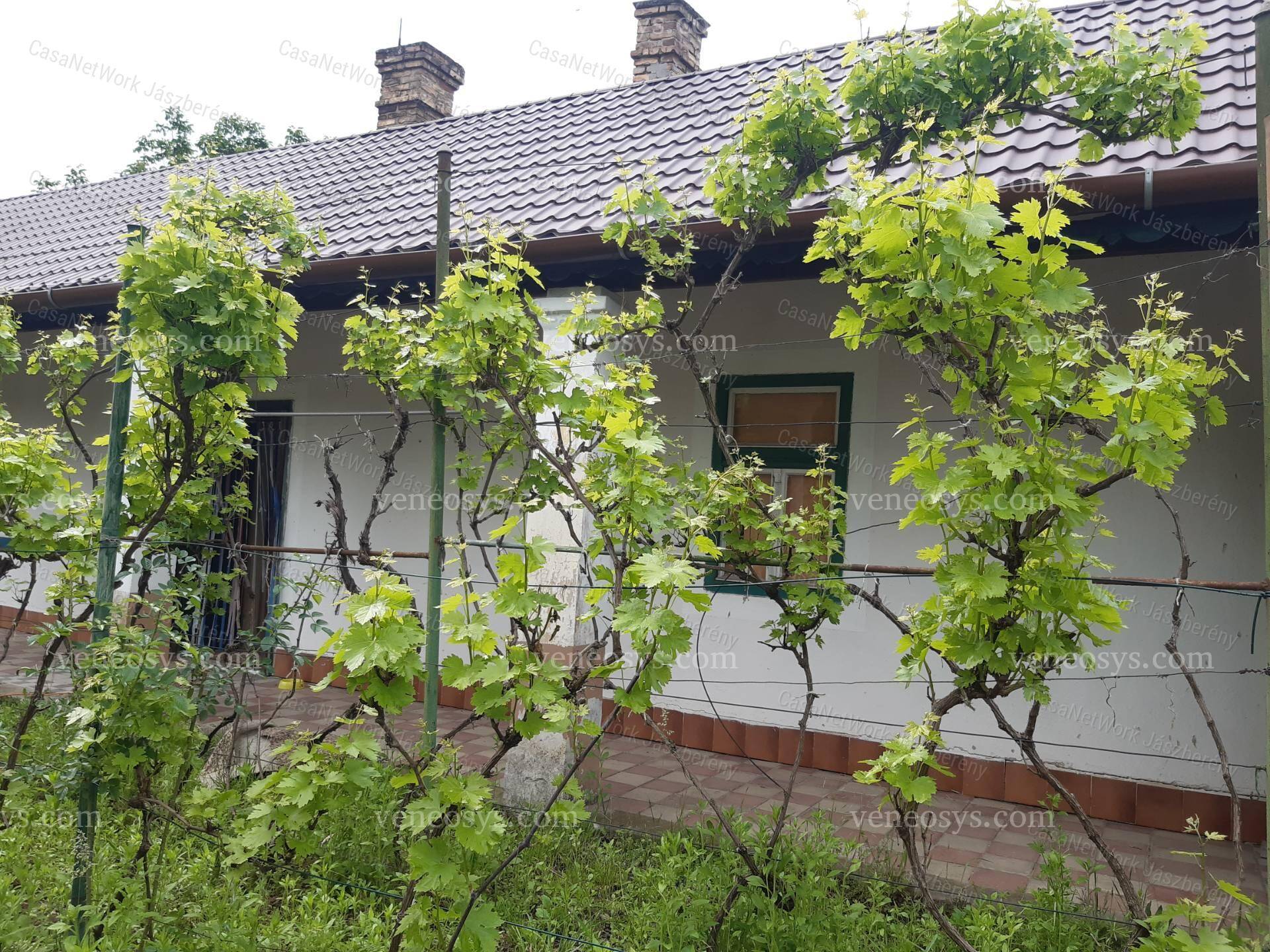Kép 12