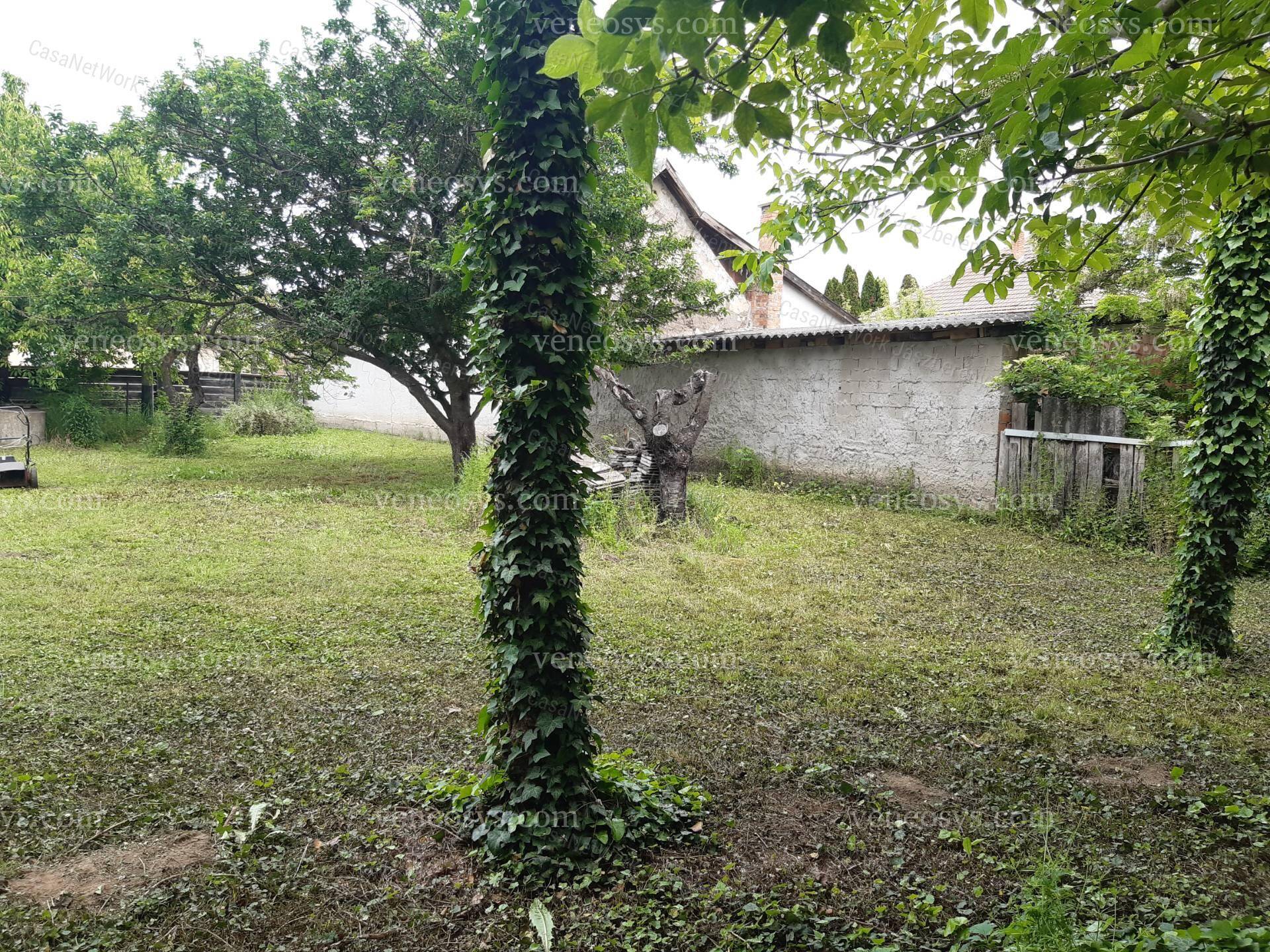Kép 19