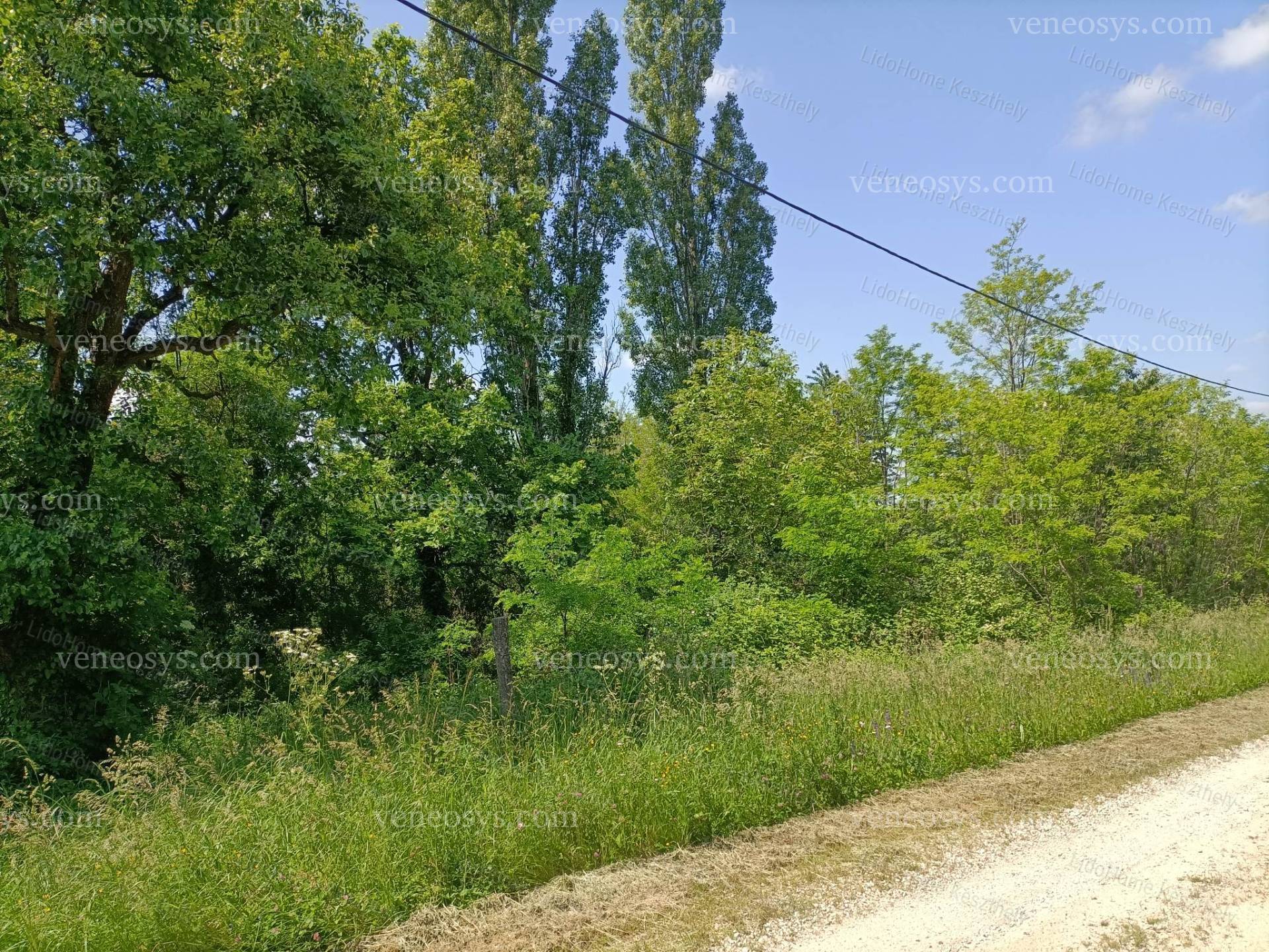 Kép 2