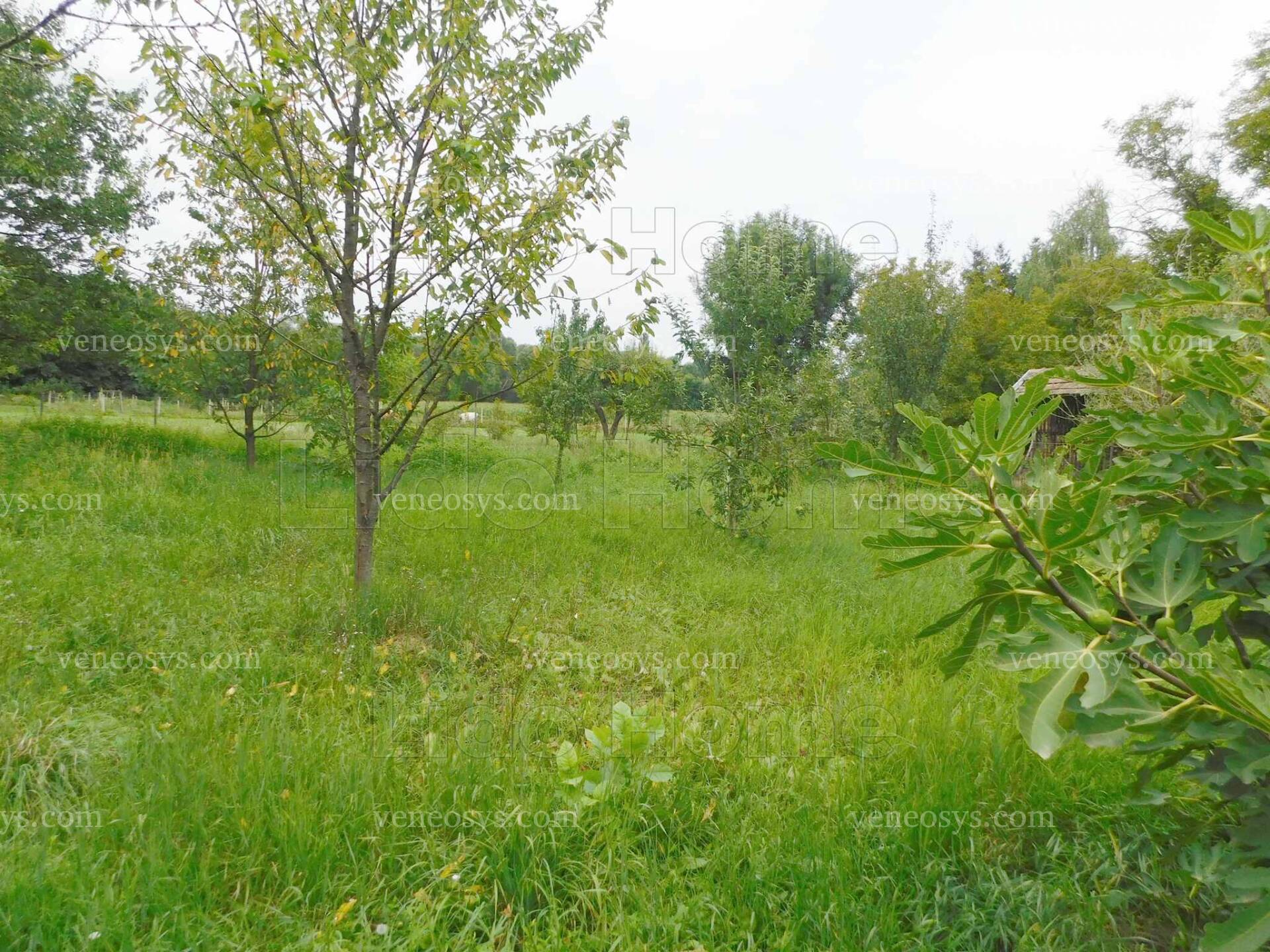 Kép 21