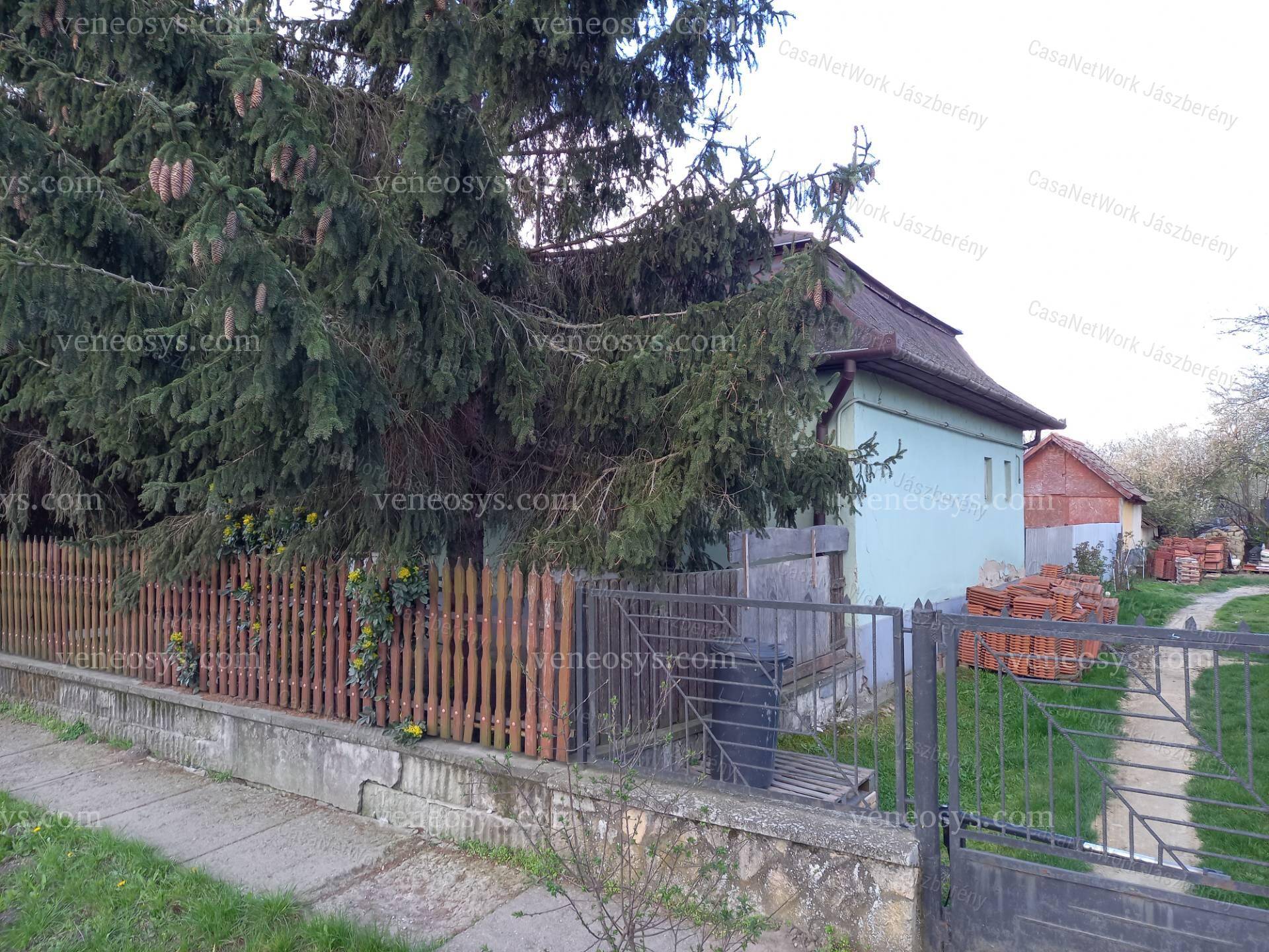 Kép 7