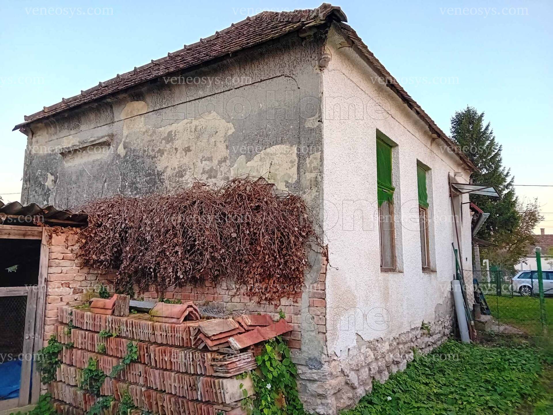 Kép 5