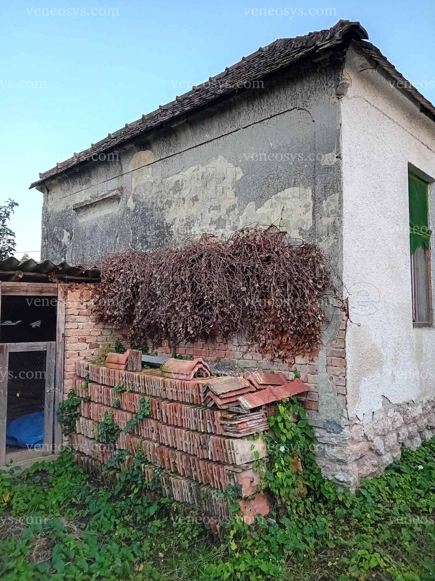 Kép 6