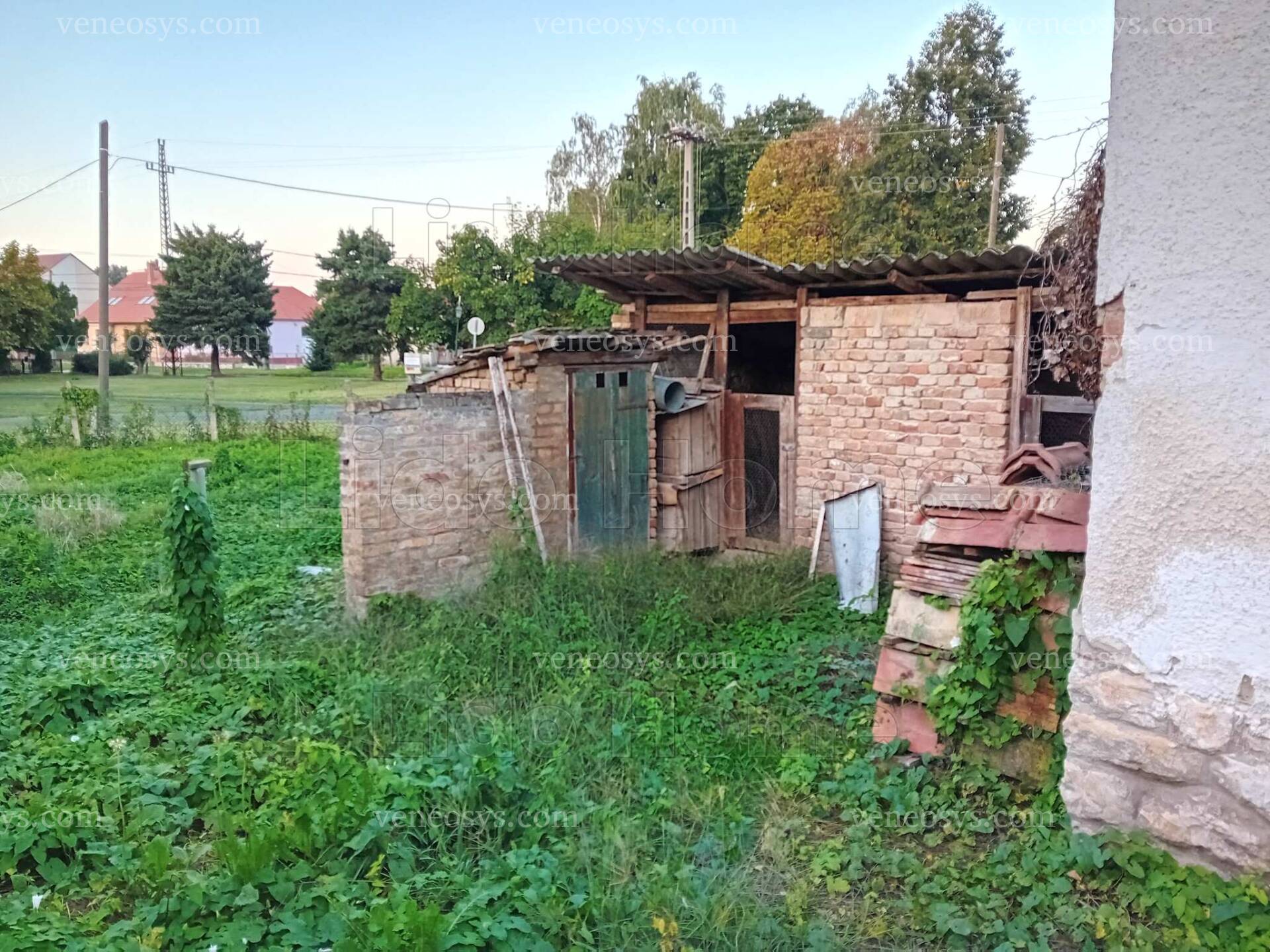 Kép 4