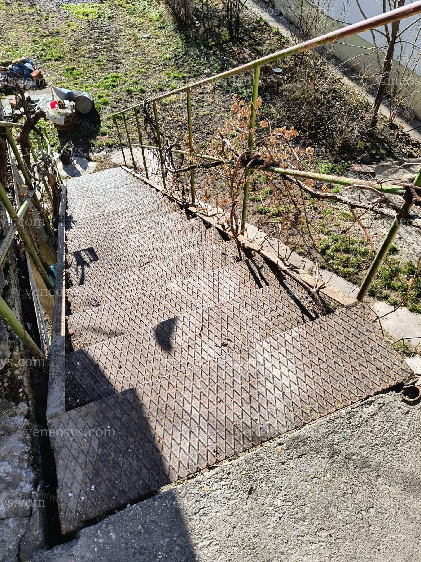 Kép 12